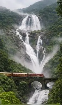 Train journey in India