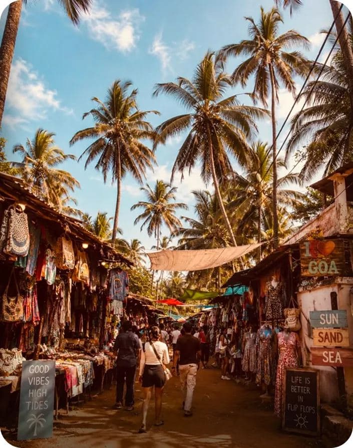 Goa north beaches tour
