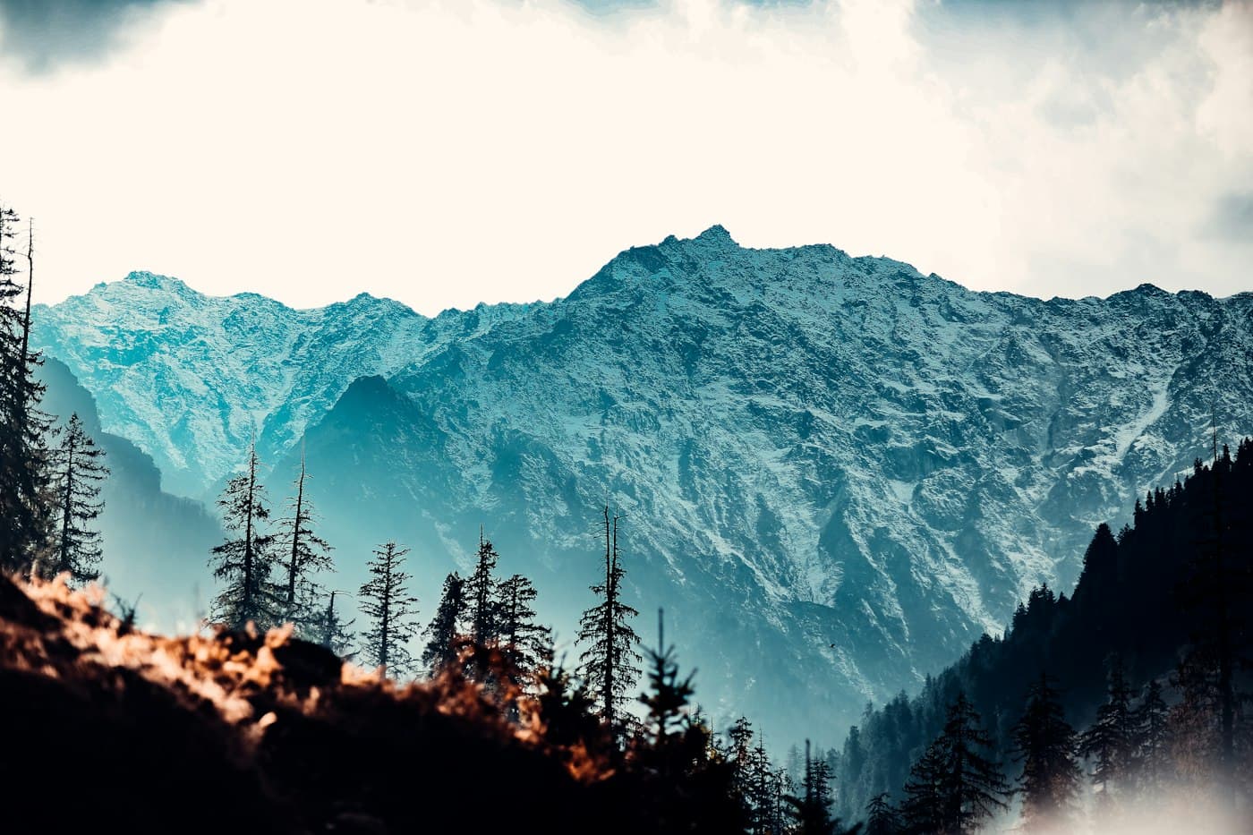 Char Dham Yatra: Yamunotri, Gangotri, Kedarnath & Badrinath