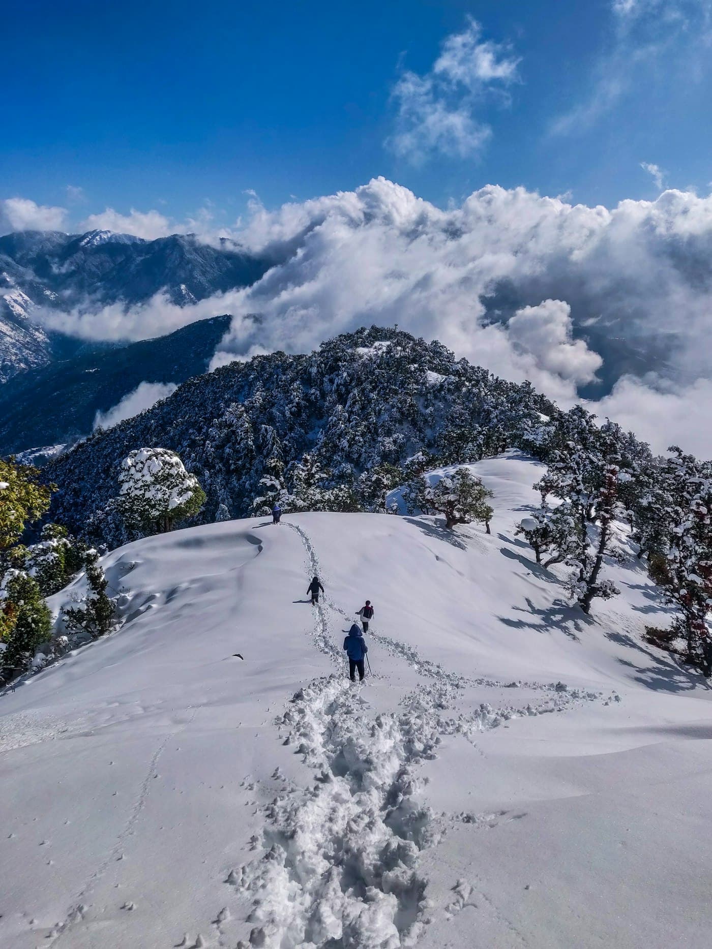 Manali trekking