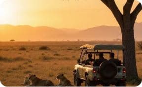 Jim Corbett tiger safari