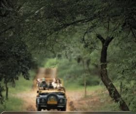 Jim Corbett Safari: Dhikala Zone Stay