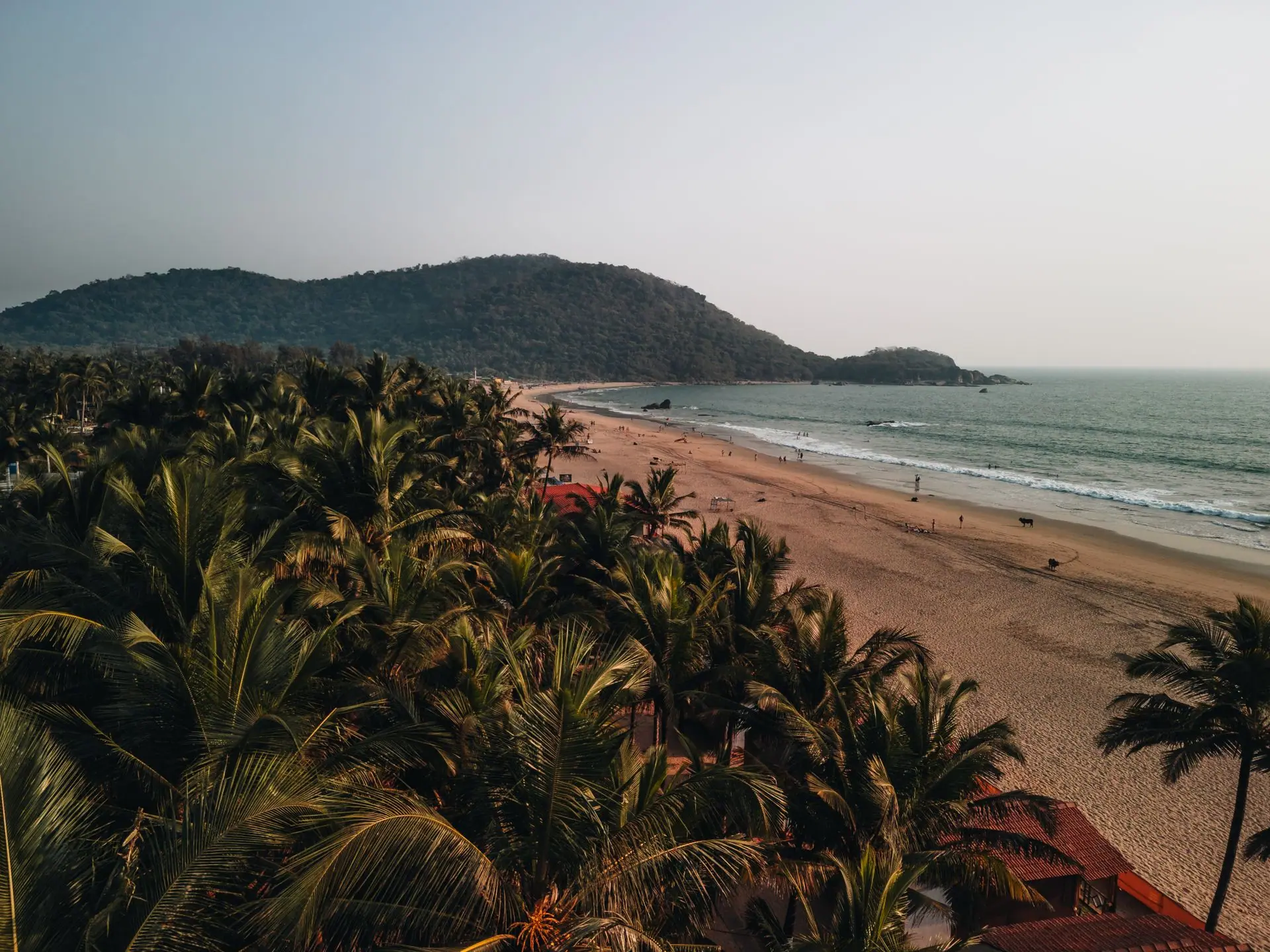A stunning aerial view of Palolem Beach in Goa, India at sunset, lined with lush palm trees