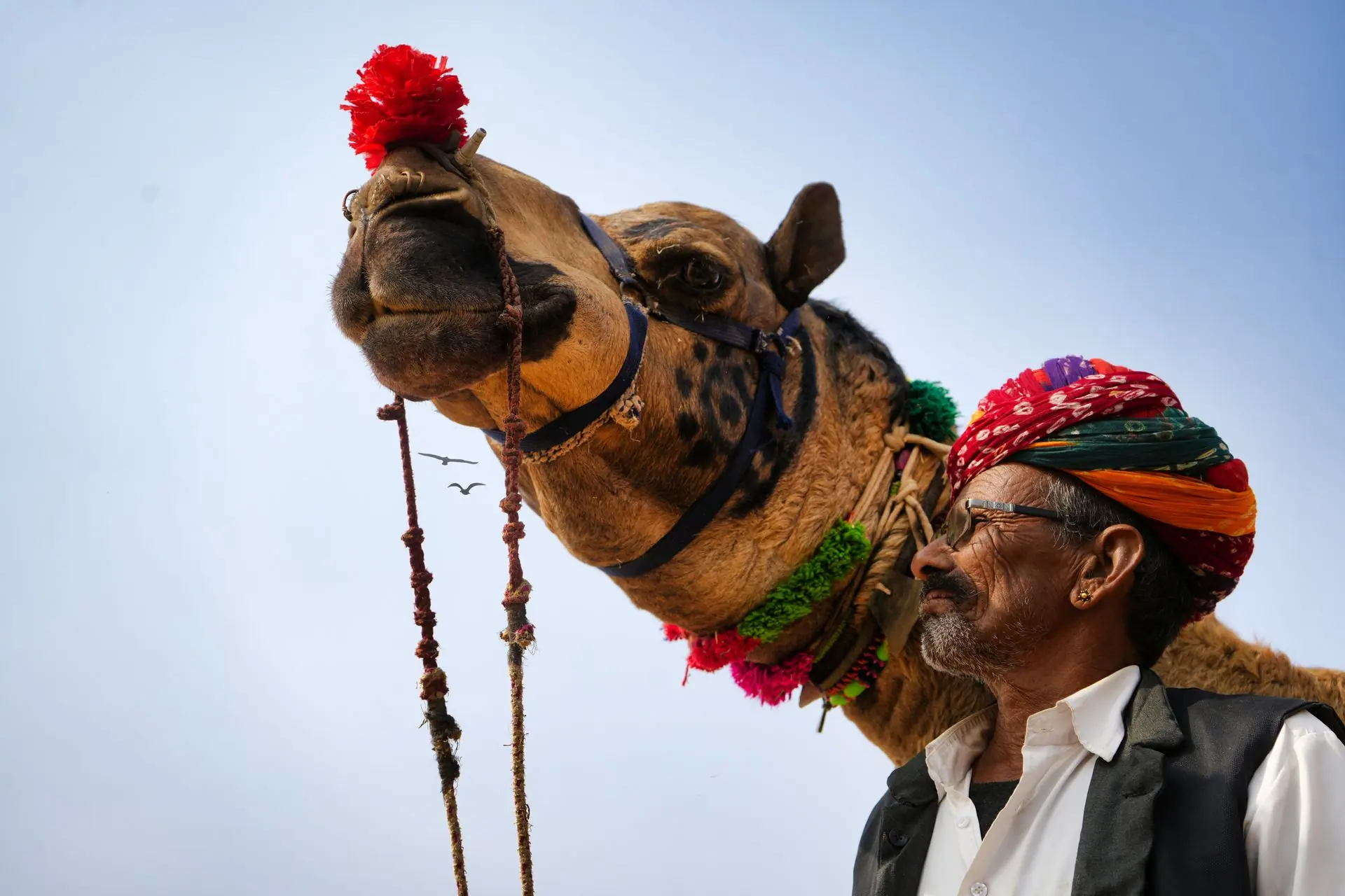 Festivals & Events