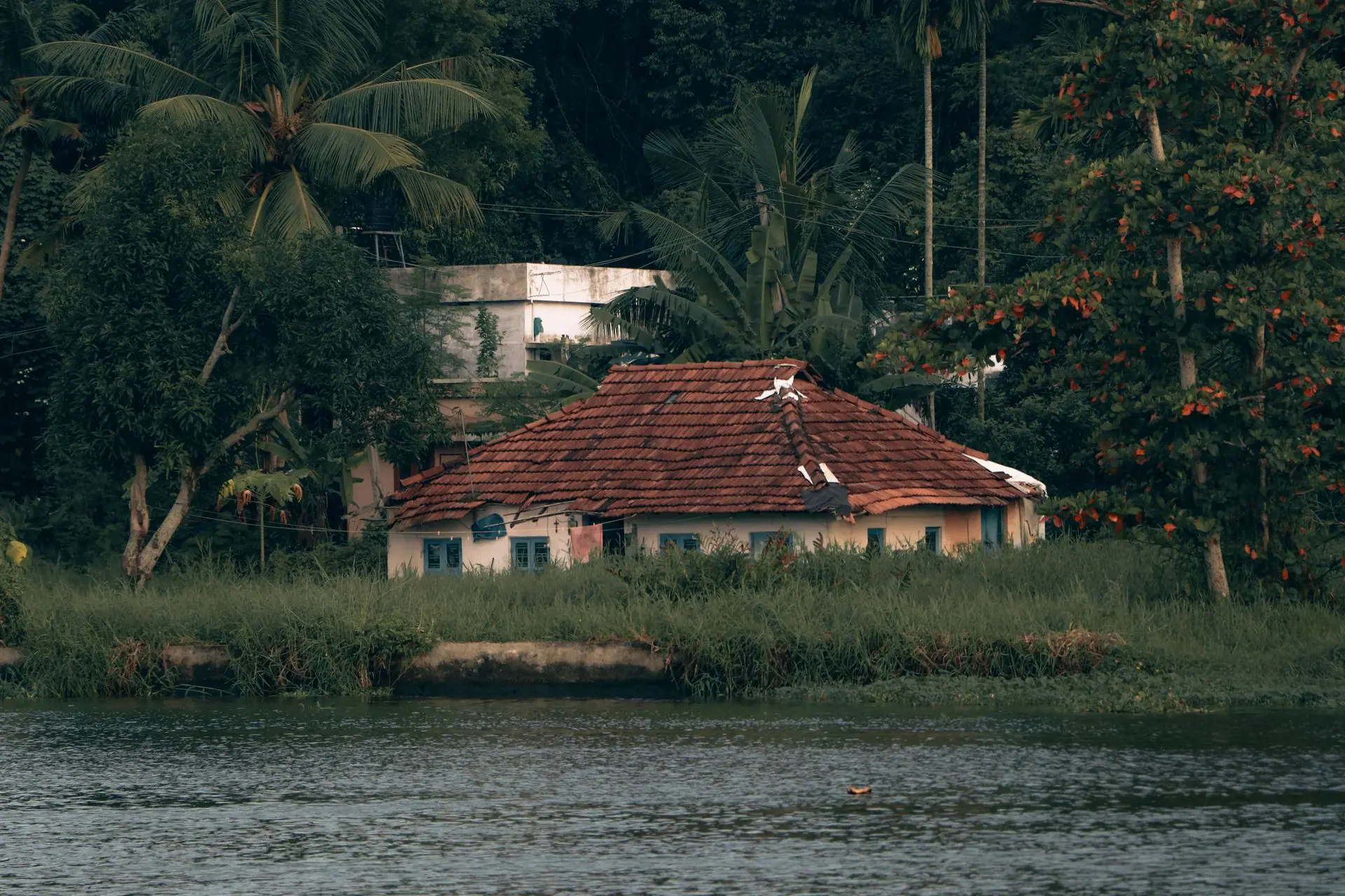 Serene view of a traditional house by the river surrounded by lush greenery in Kochi, Kerala, India