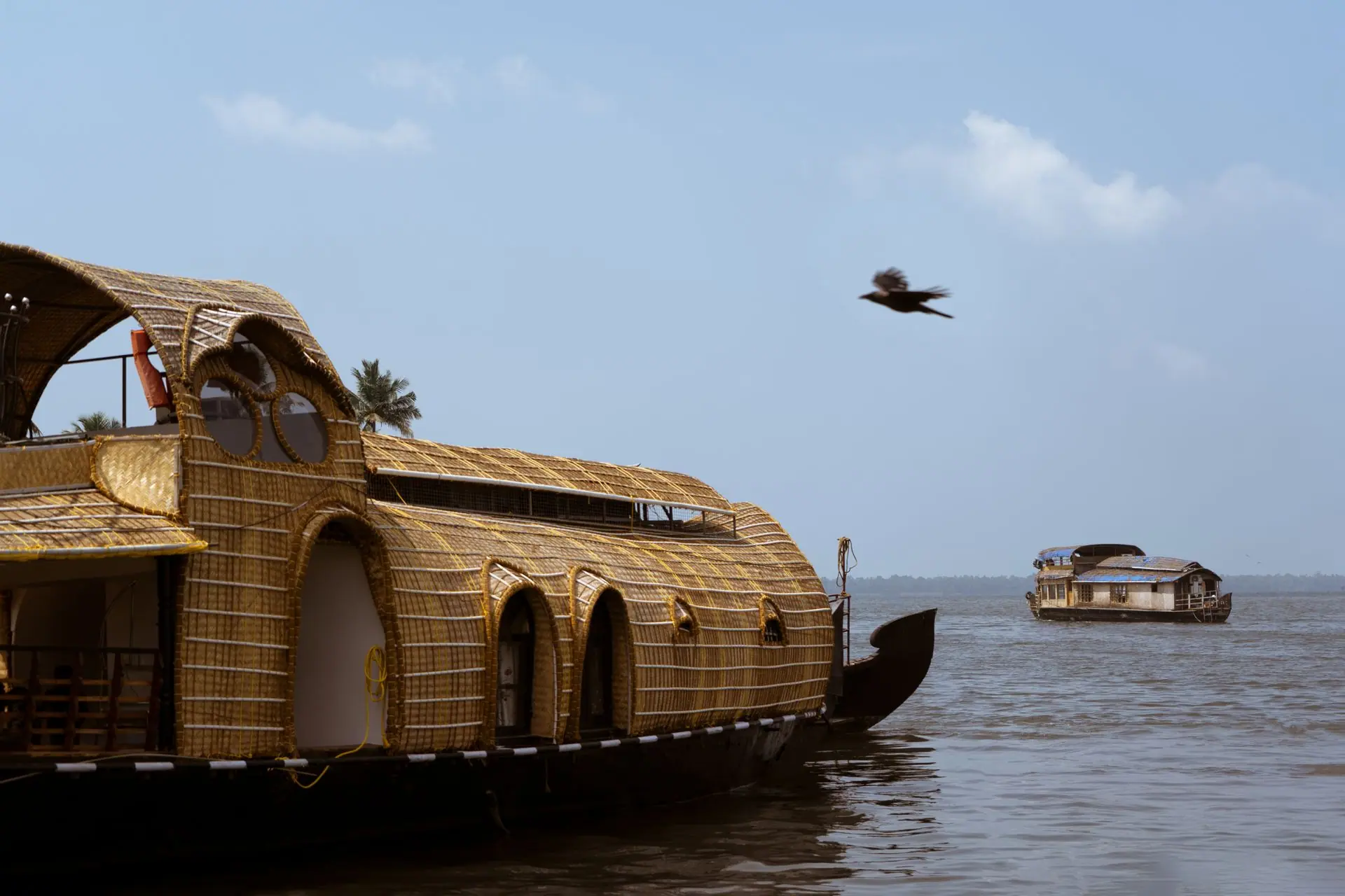 Traditional houseboats cruising on the scenic Alappuzha backwaters, India