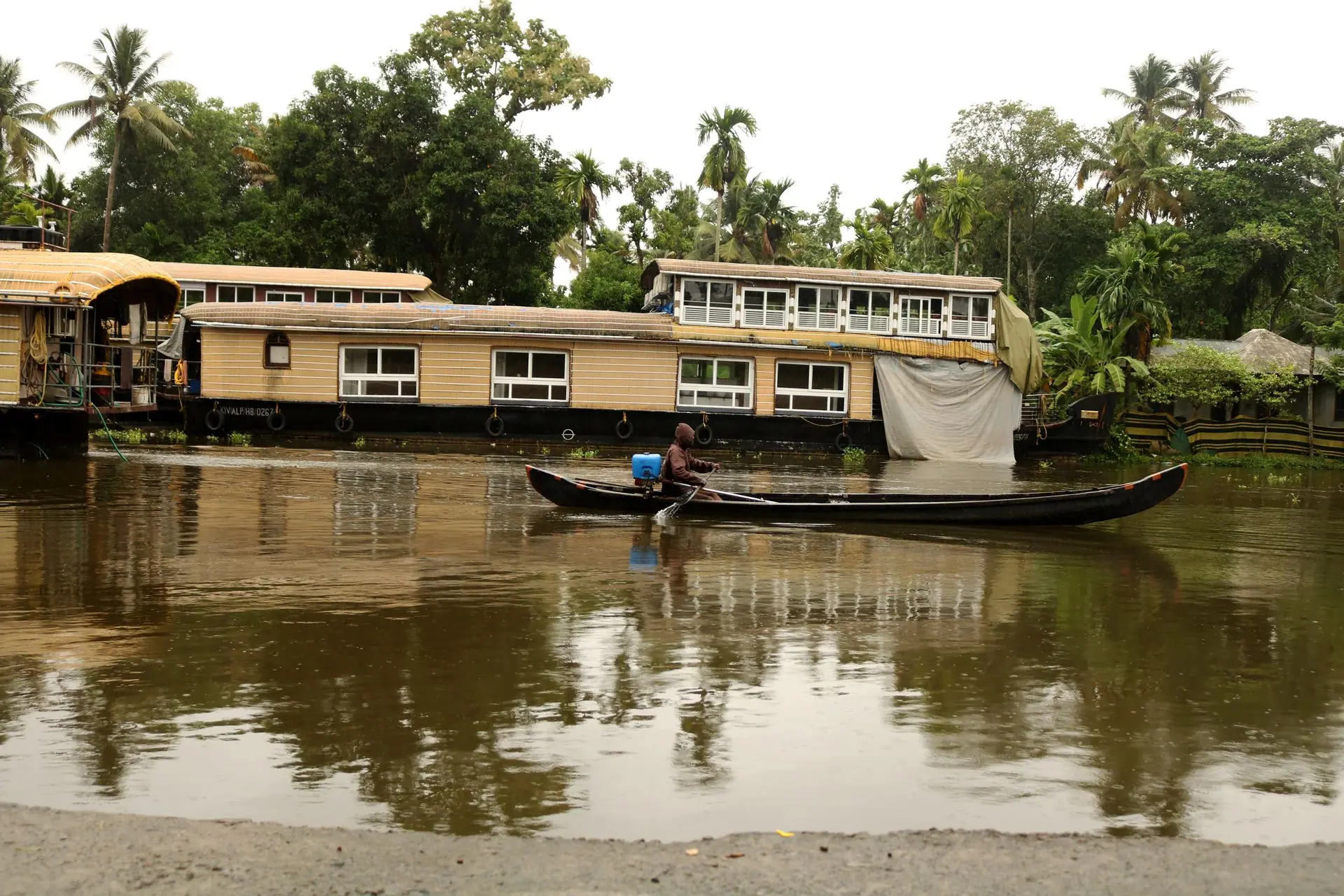 Explore the tranquil backwaters of Alappuzha, Kerala, with traditional houseboats and lush tropical scenery