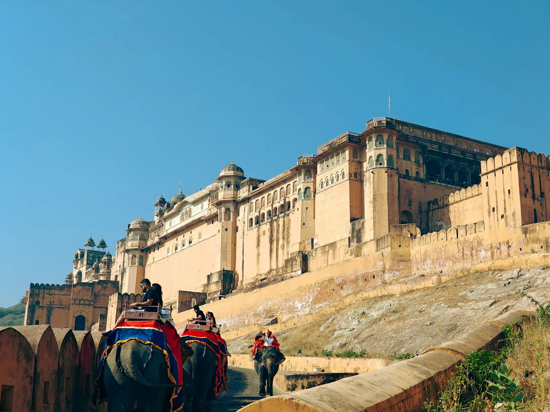 Elephants carrying tourists at historic Amer Fort in Jaipur, India under a clear blue sky