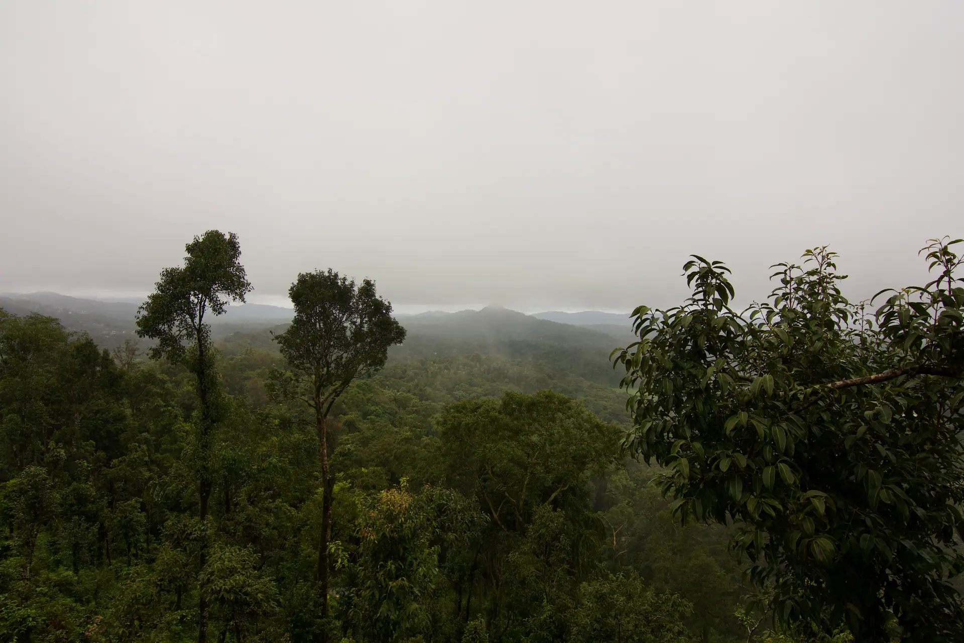 Coorg