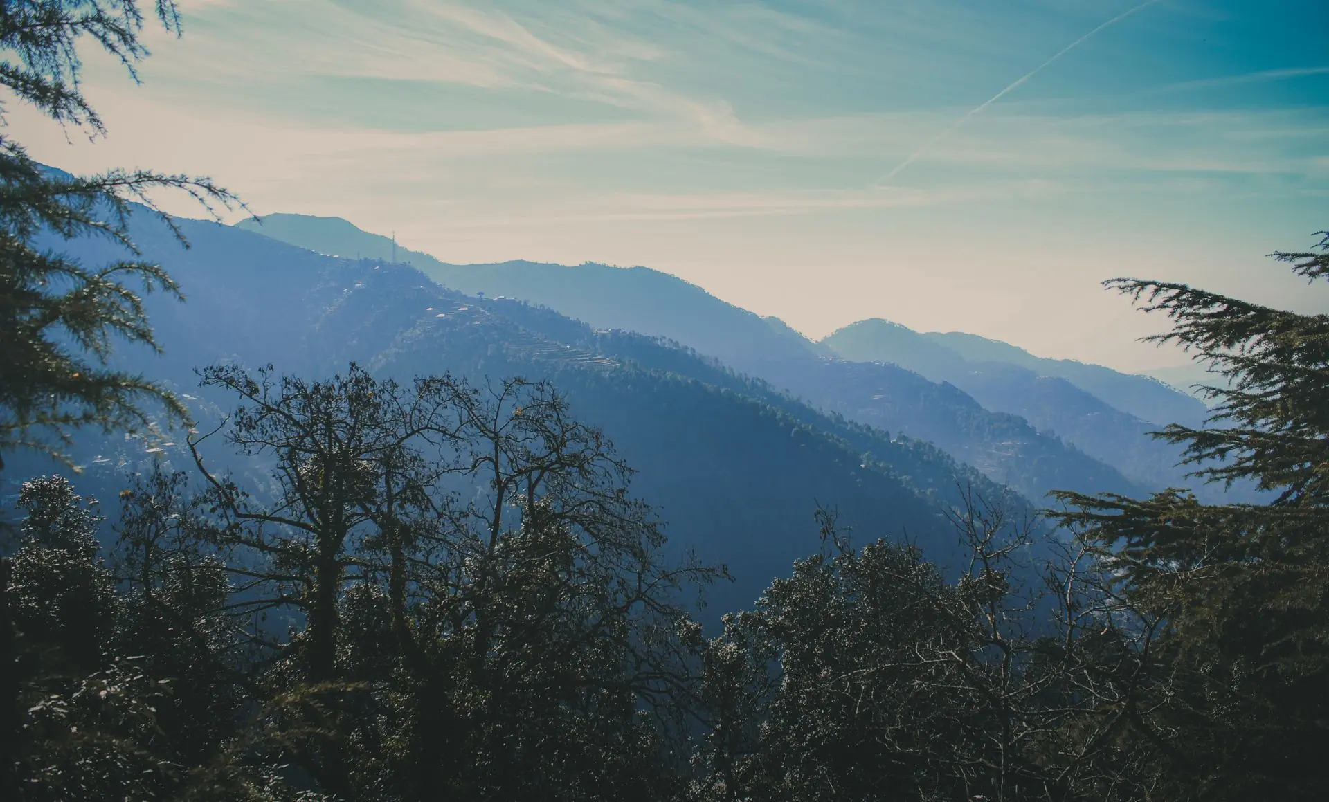 Breathtaking view of the misty mountains and trees in Dalhousie, Himachal Pradesh, India