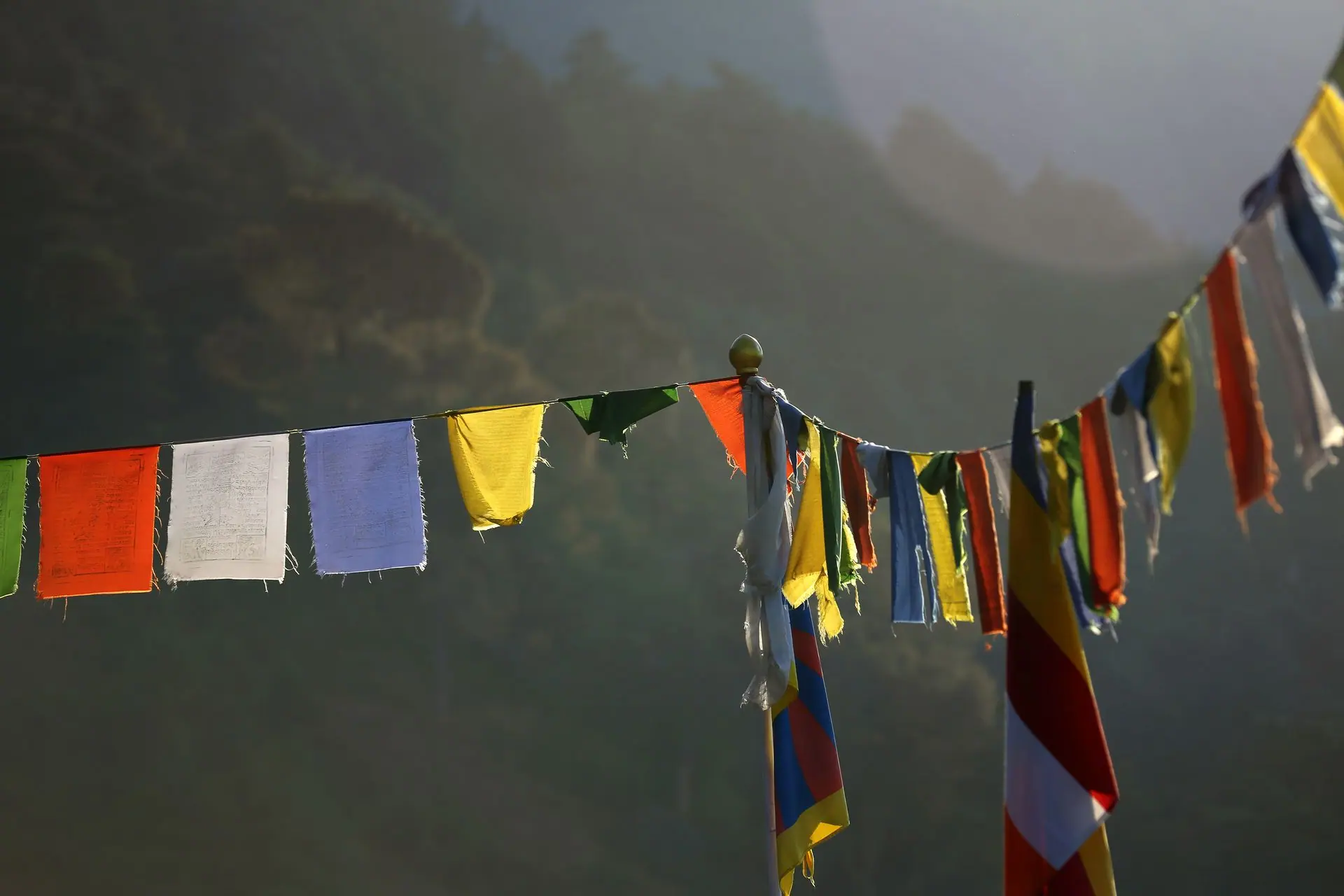 Vibrant Buddhist prayer flags hanging against a serene mountain backdrop in Himachal Pradesh, India