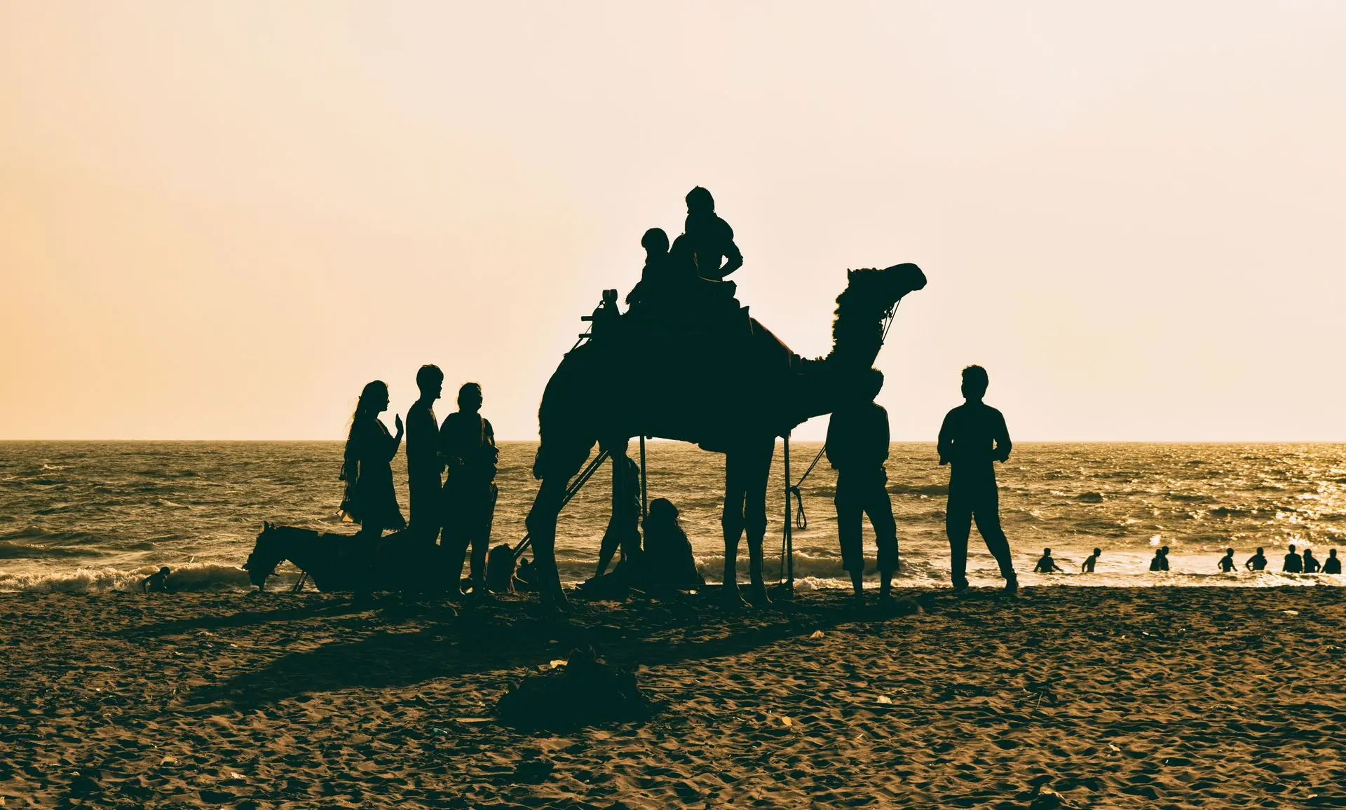 Silhouettes of people enjoying a camel ride on Gokarna beach during sunset