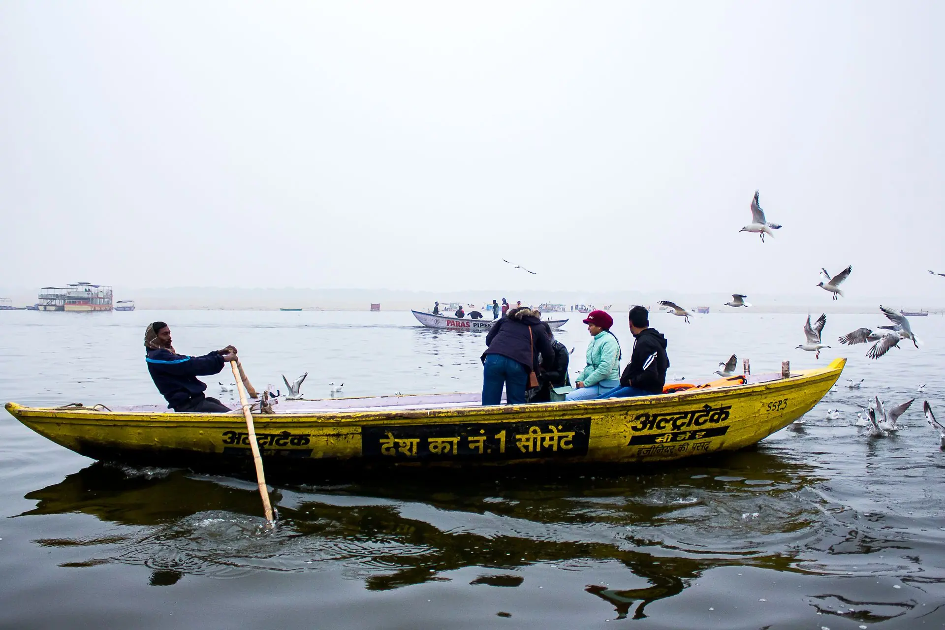 People enjoying a boat ride on the Yamuna River surrounded by seagulls