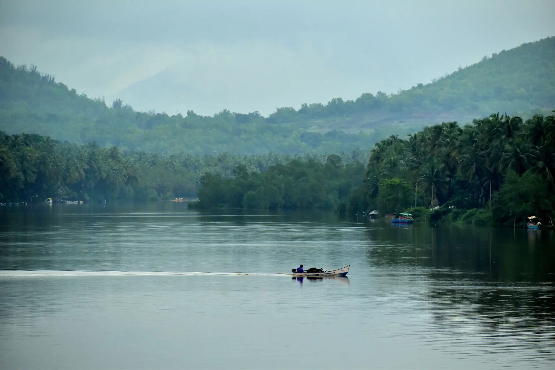 A tranquil scene of a small boat on a serene river in Goa with lush greenery