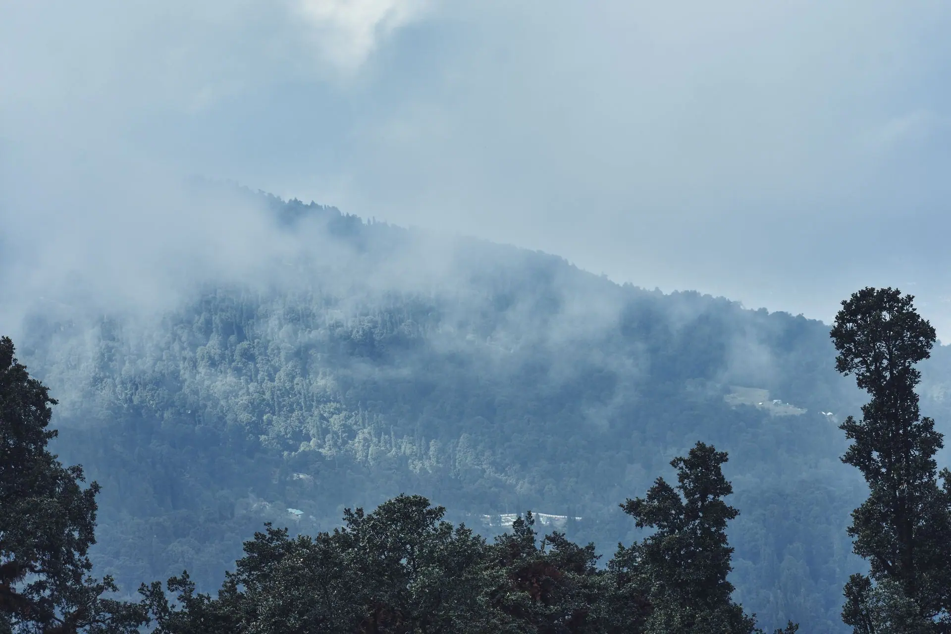 Manali trekking