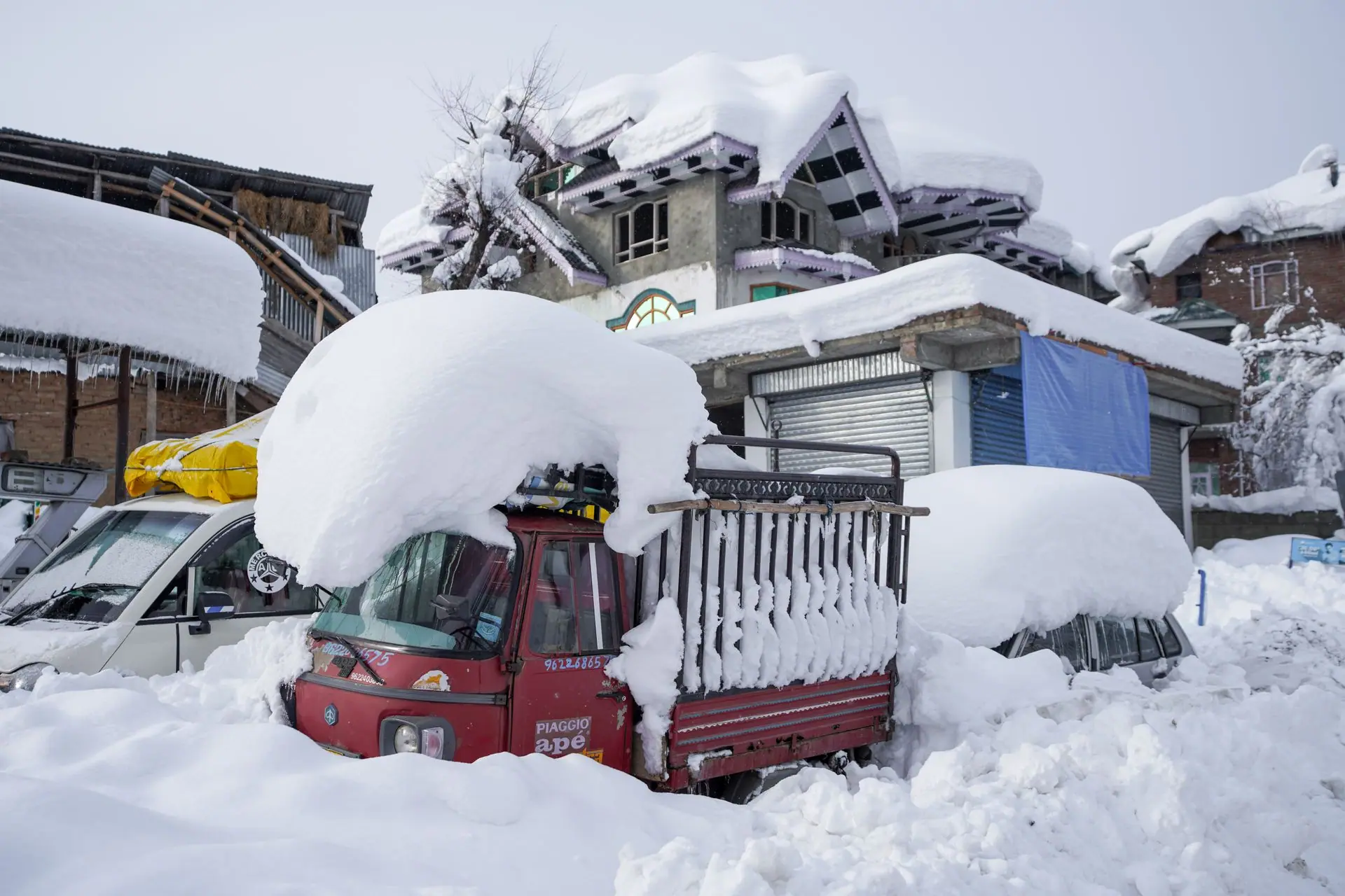 India in January: Weather, Where to Go, and What to Avoid