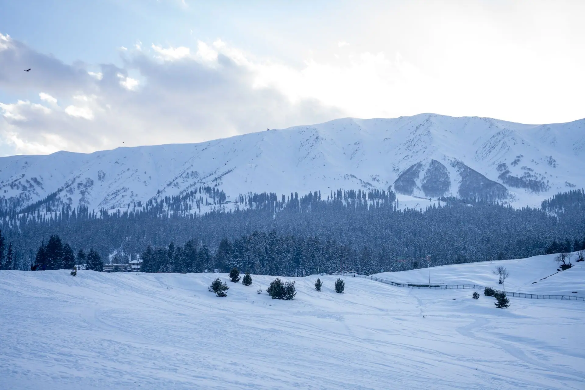 Gulmarg Gondola & Snow Day from Srinagar
