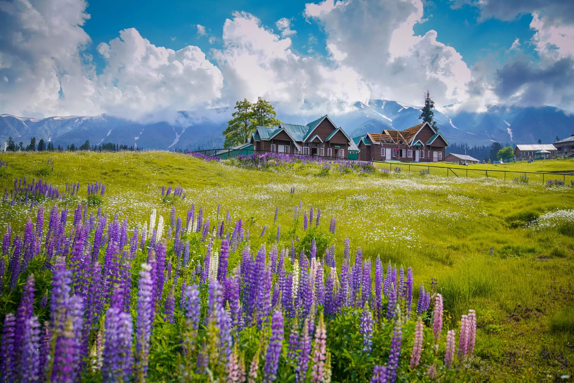 Kashmir, India