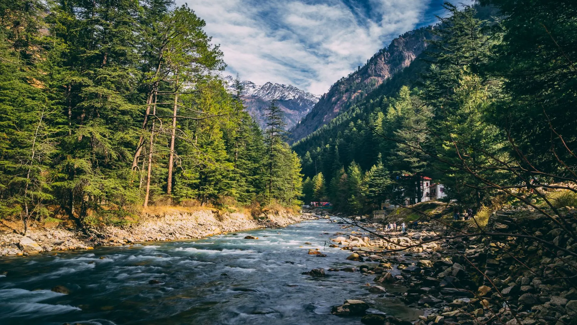 Beautiful landscape of river flowing through coniferous forest in Kasol, India with mountains in the background