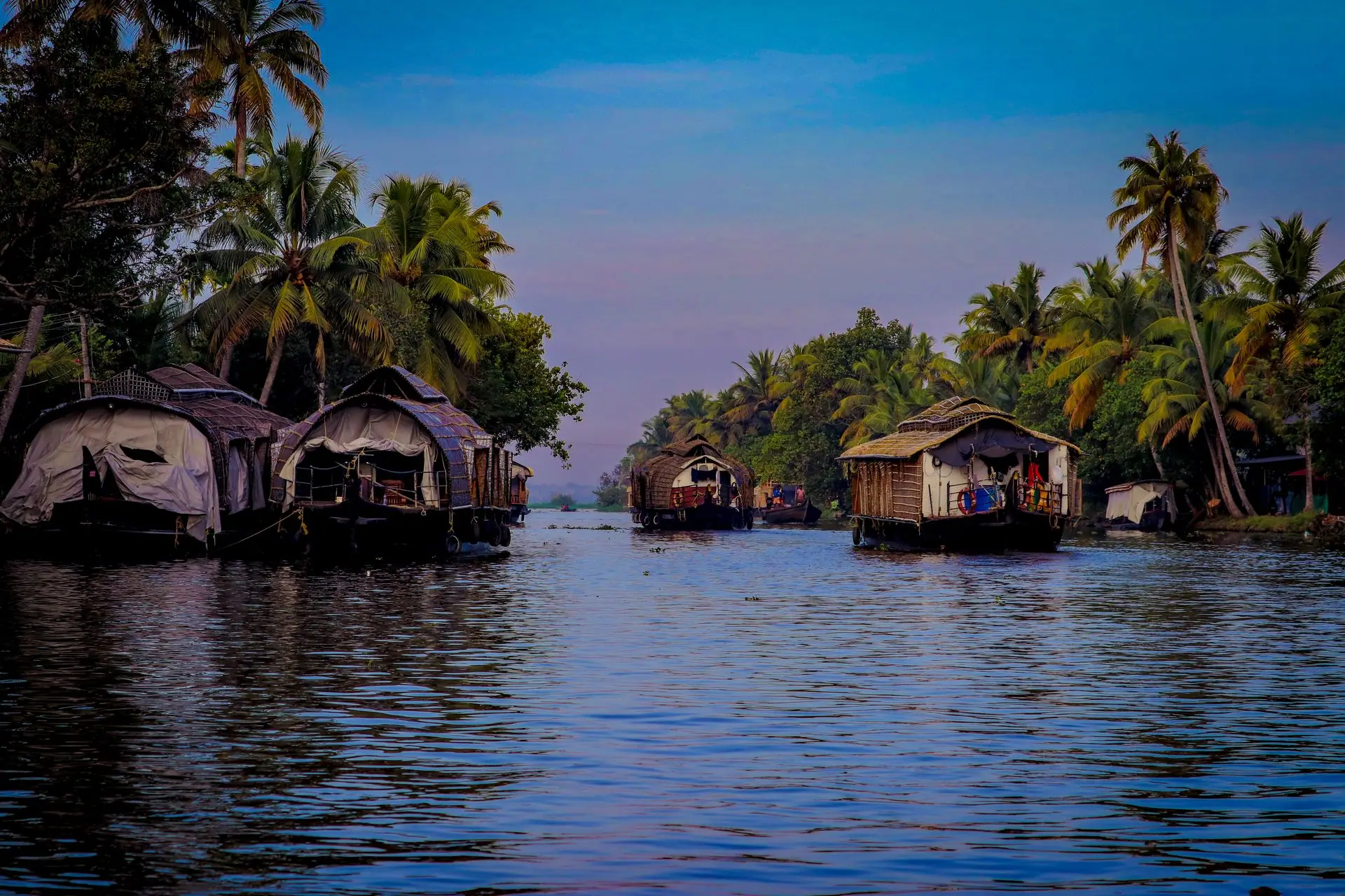Kerala Backwaters, Hills & Coast