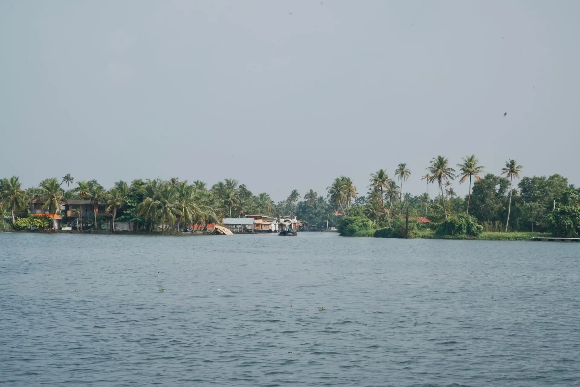 Serene view of Kerala backwaters lined with lush palm trees and traditional houseboats