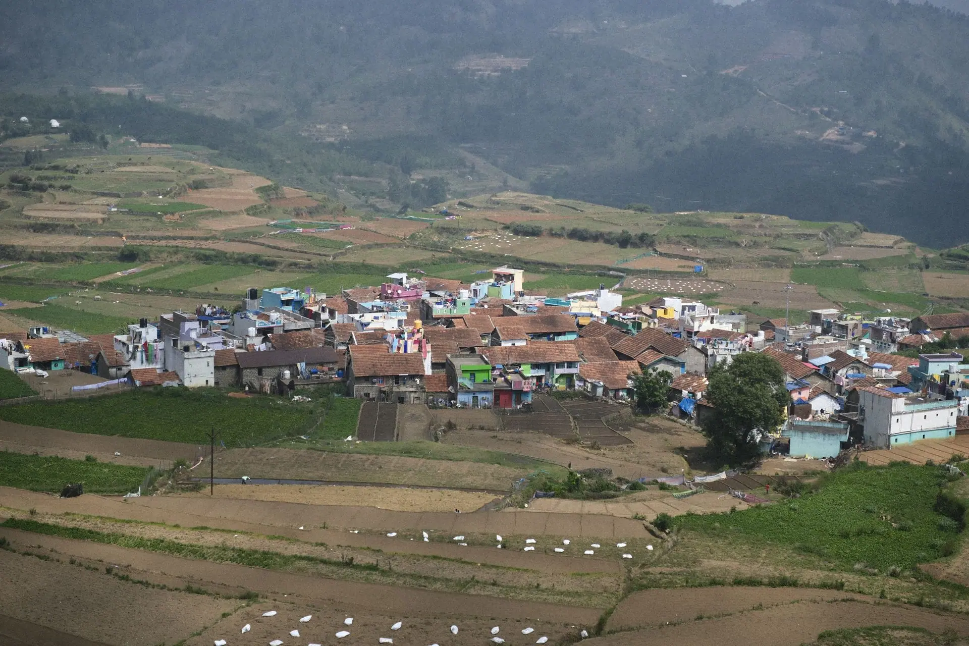 Kodaikanal