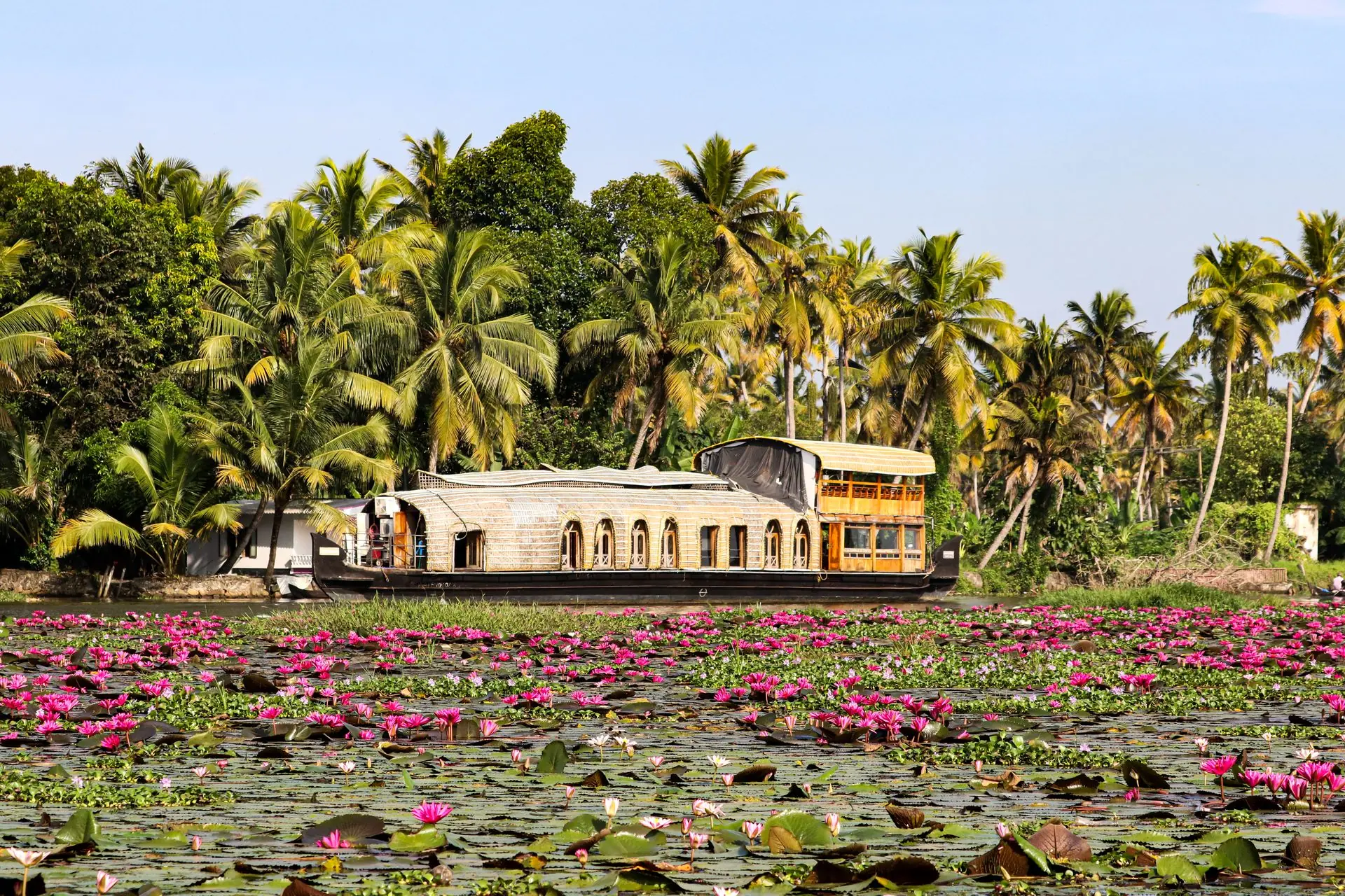 Kumarakom Backwater Day Cruise with Lunch
