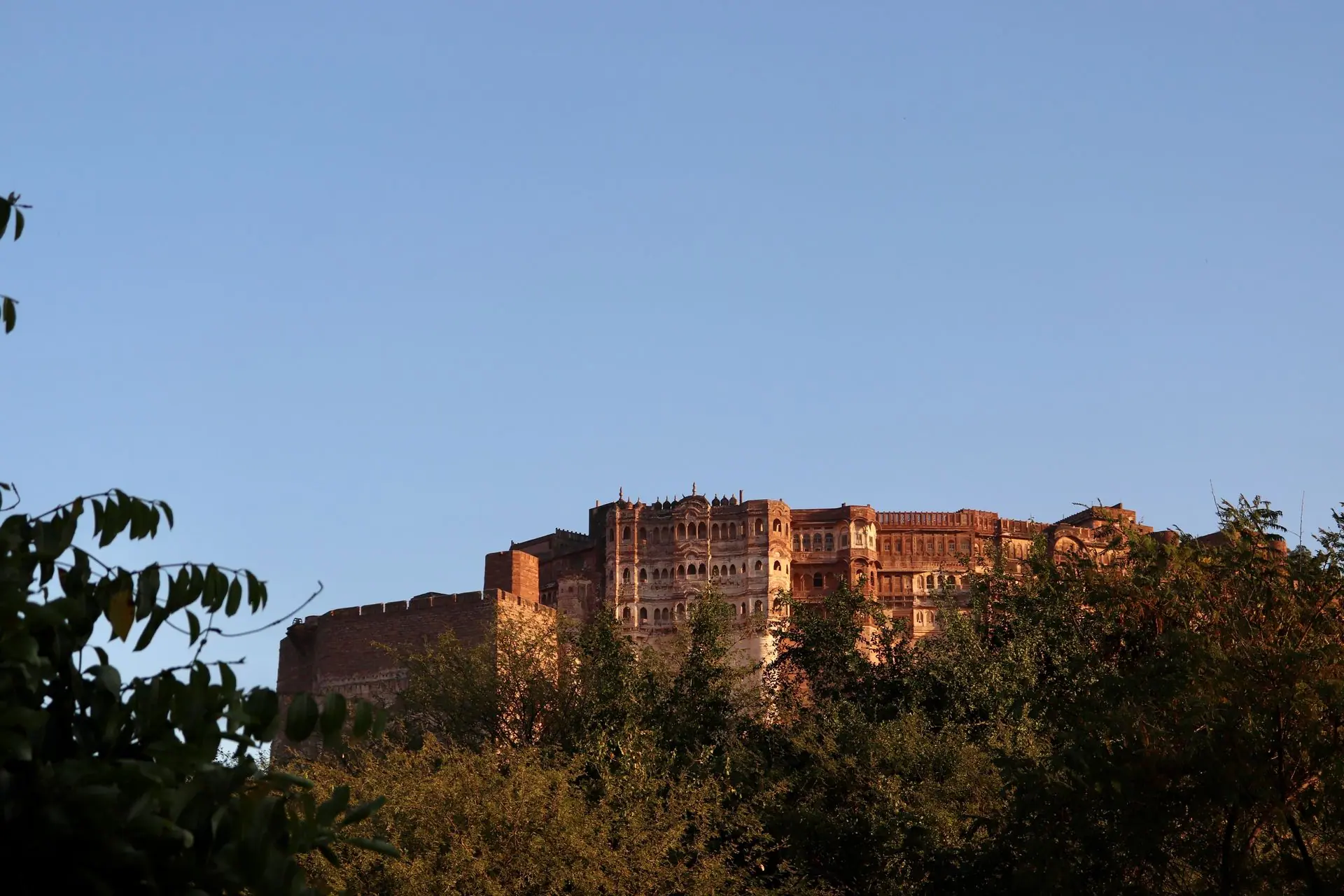 Scenic view of Mehrangarh Fort surrounded by lush greenery under a clear blue sky in Jodhpur, India