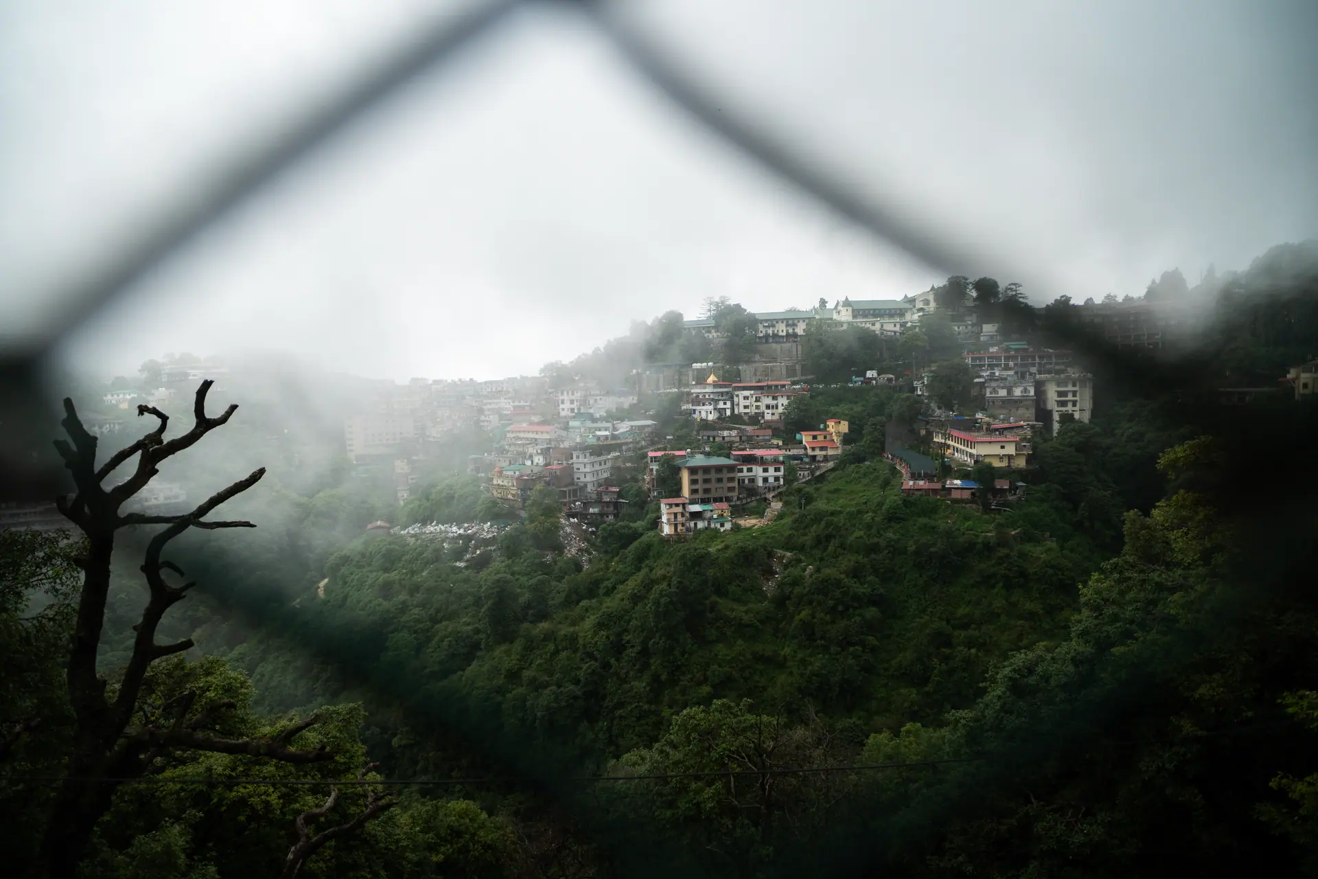 Misty view of Mussoorie's hillside houses and lush greenery on a rainy day