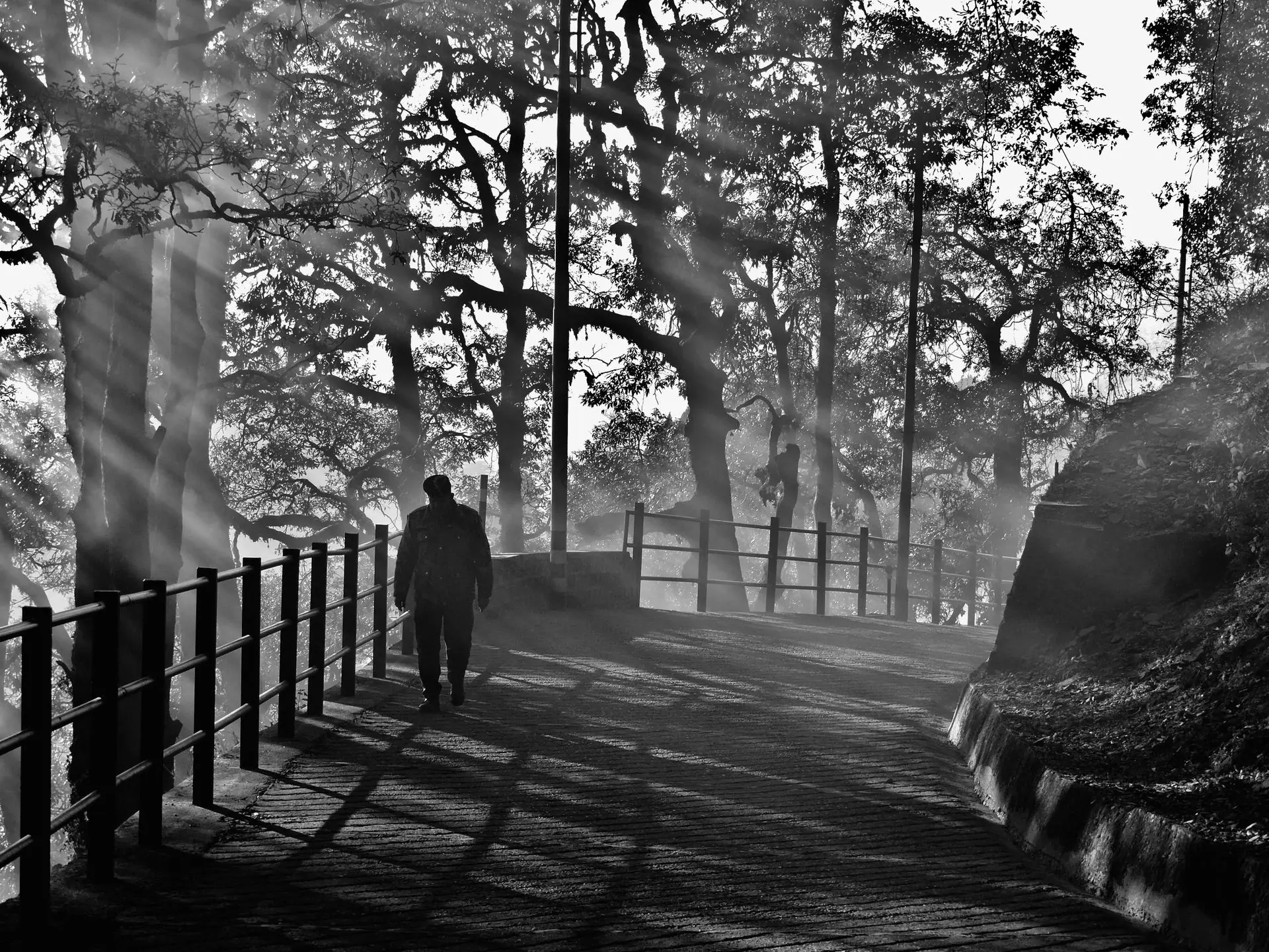 A silhouetted figure walking through a scenic forest pathway in Mussoorie, India