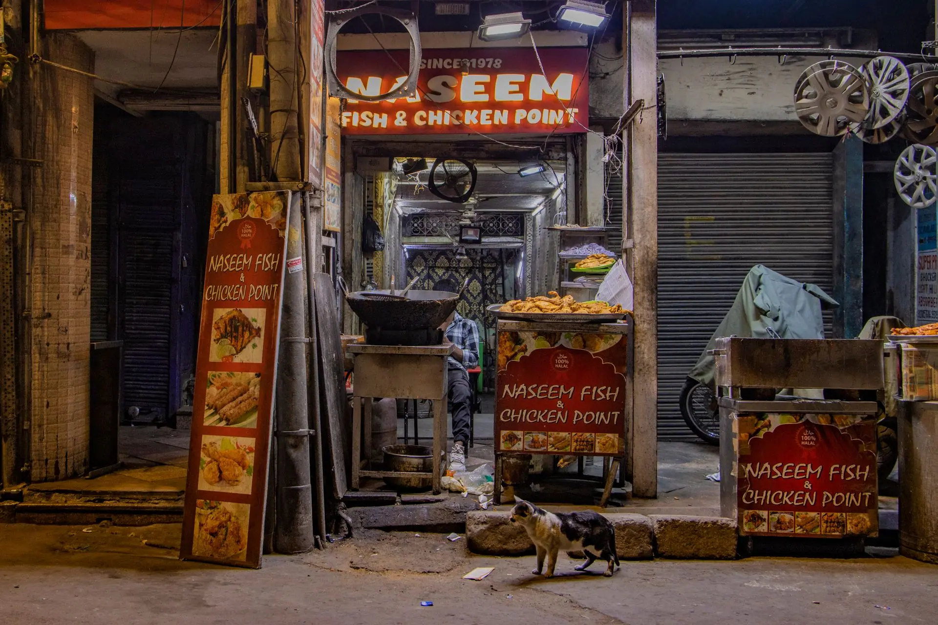 Night scene of a food stall in Old Delhi showing a street cat and vibrant signs