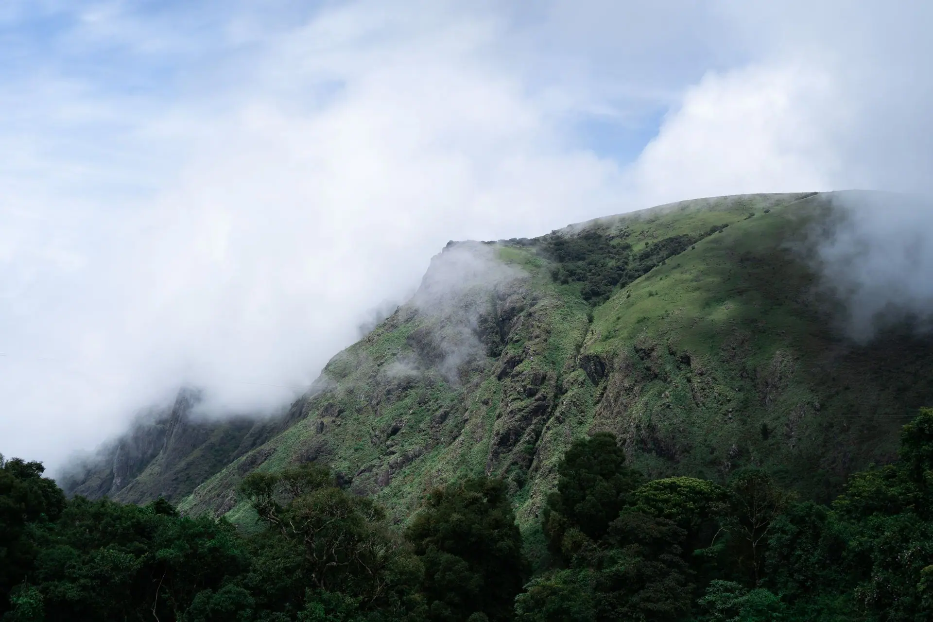 Breathtaking view of misty mountains and lush greenery in Ooty, India