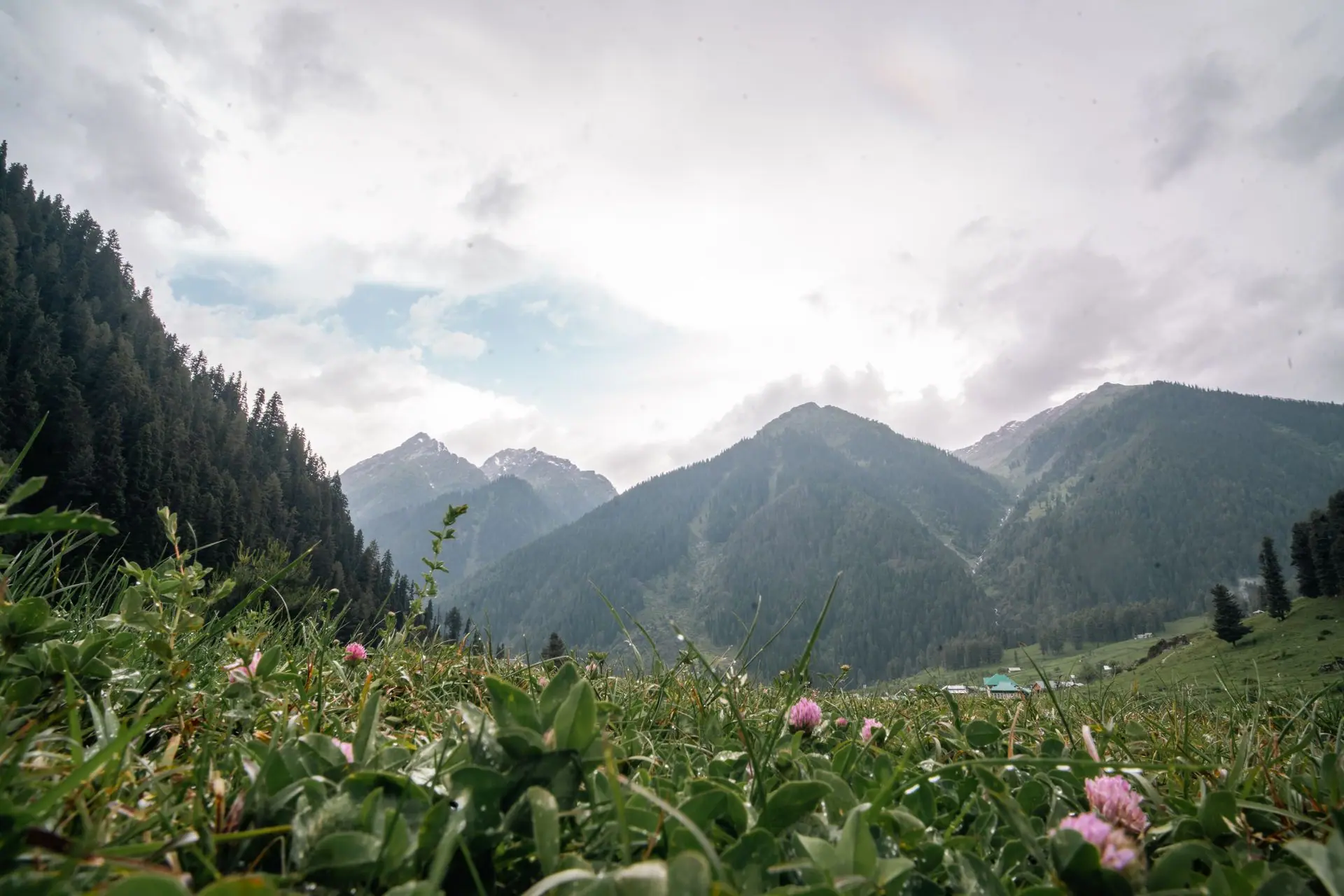 Explore the lush meadows and towering mountains of Pahalgam in spring