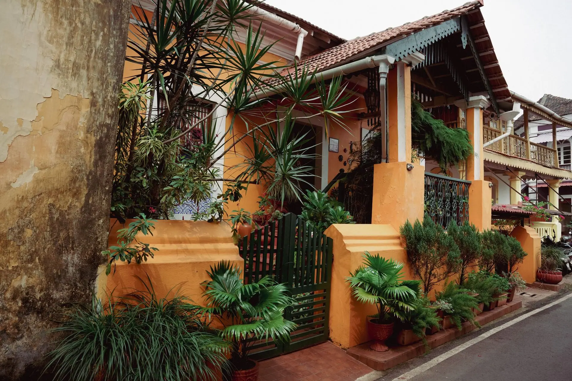 A beautifully preserved Goan heritage house in Panaji, adorned with vibrant plants and colonial architecture