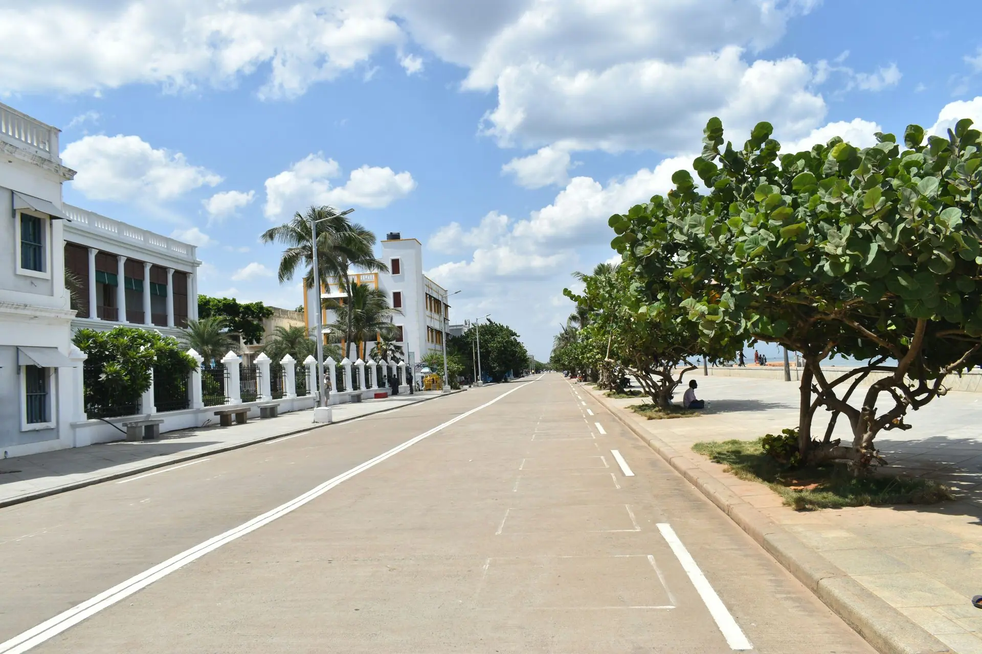 A tranquil view of the promenade lined with trees and colonial buildings in Puducherry, India