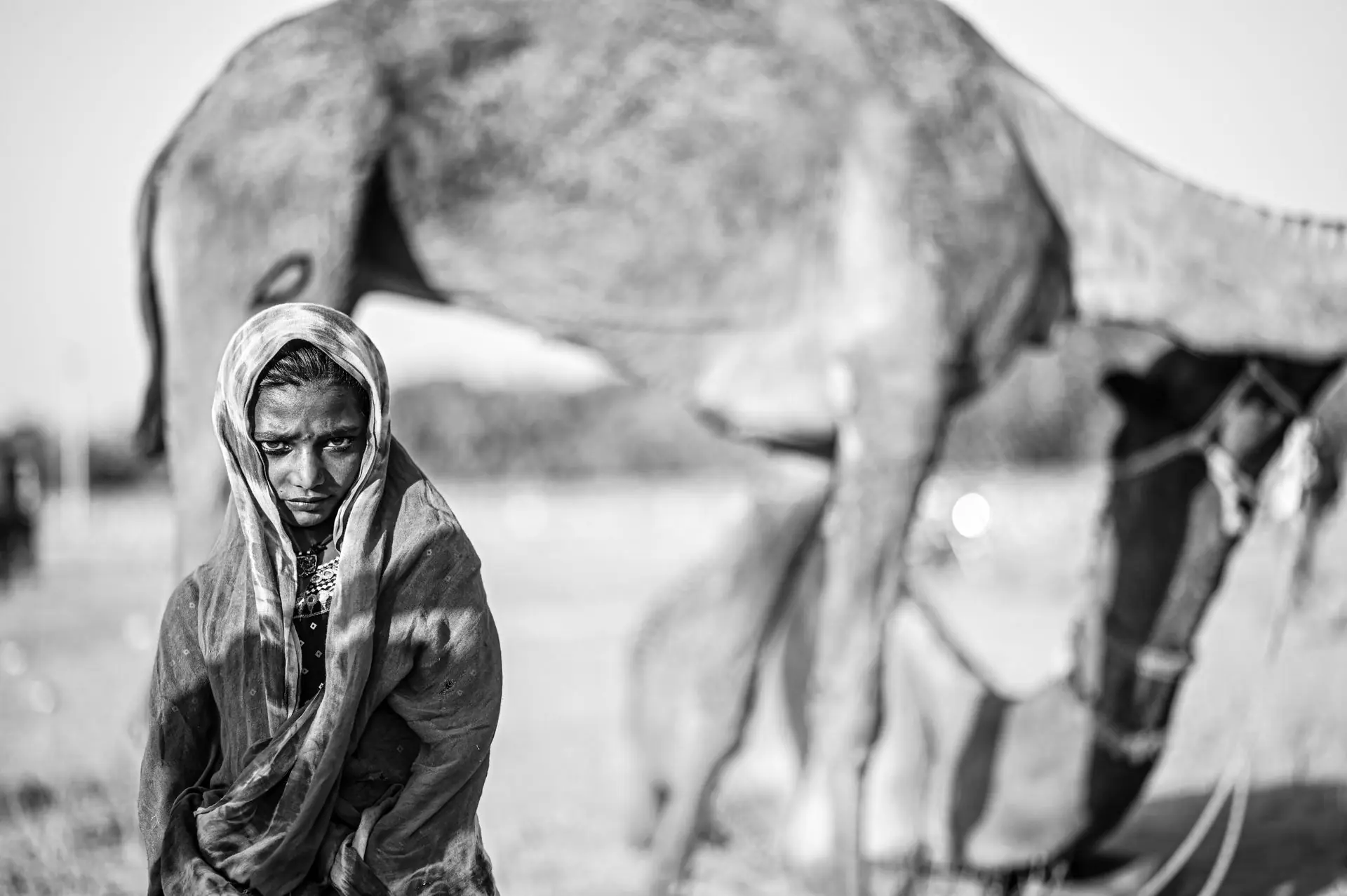 Monochrome portrait of a girl in traditional attire with a camel in Pushkar, India