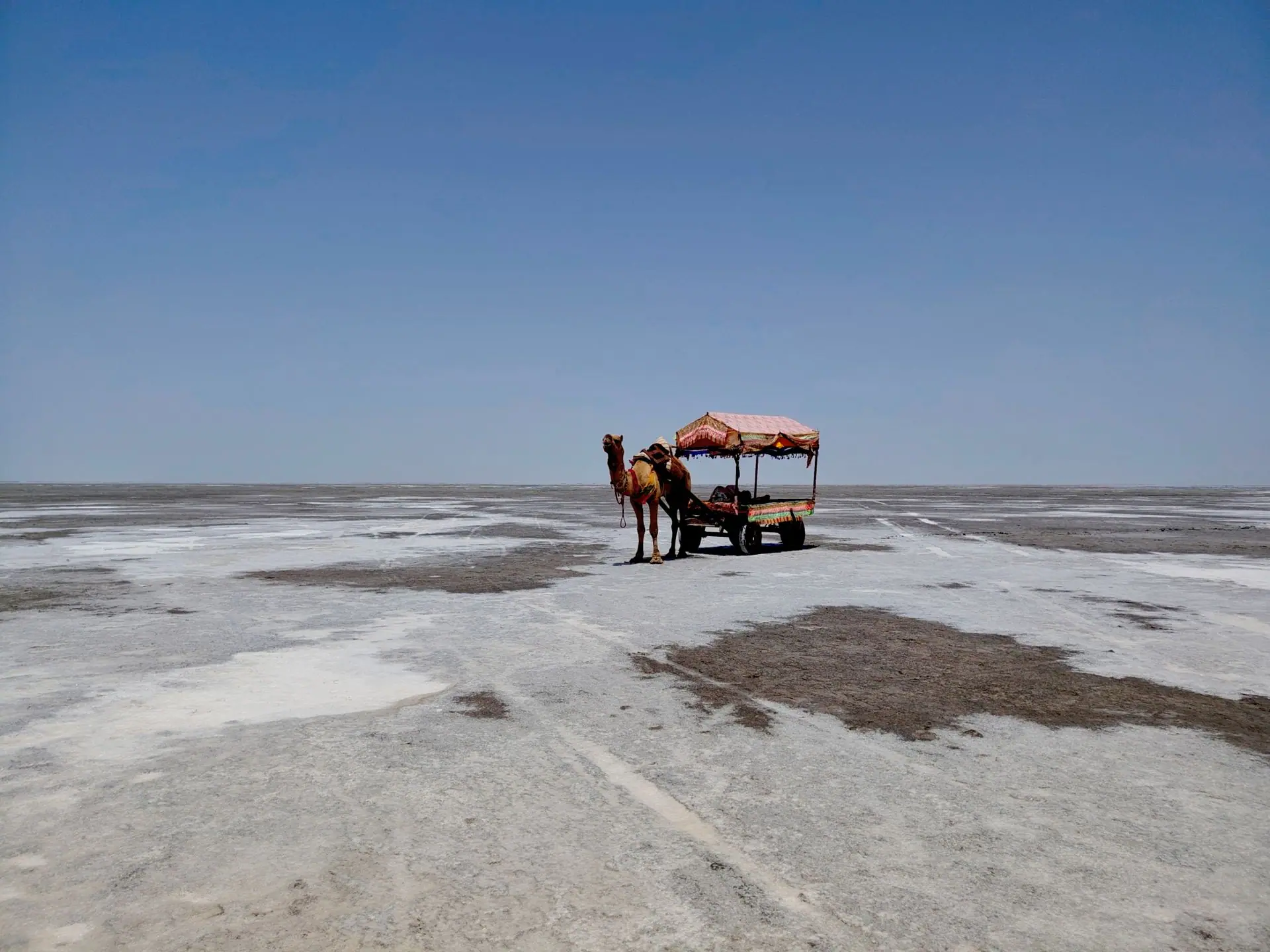 A camel cart stands in the vast, serene white desert landscape of the Rann of Kutch under a clear blue sky