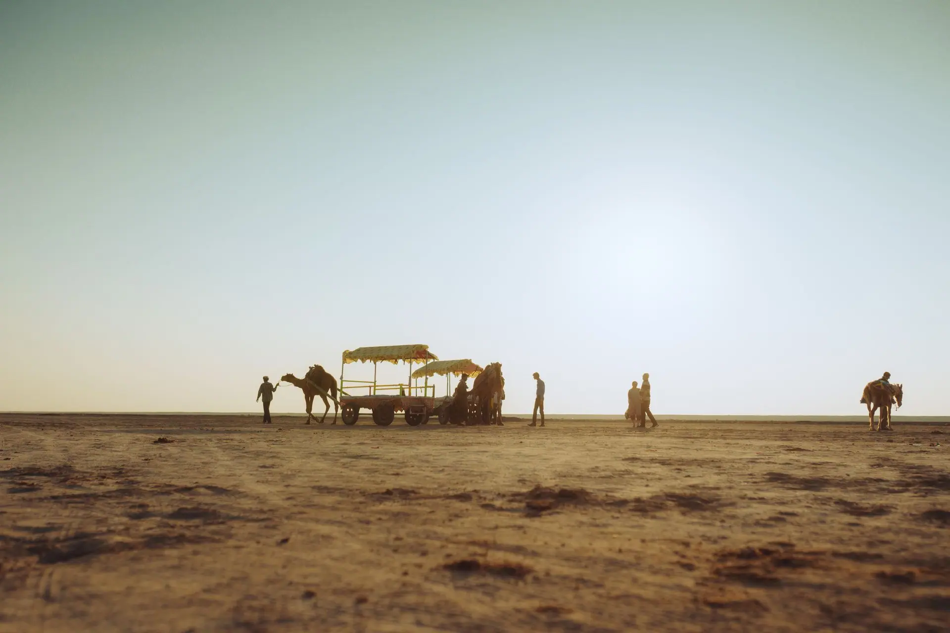 A scenic view of camel cart rides at sunset in the expansive Rann of Kutch desert, Gujarat, India