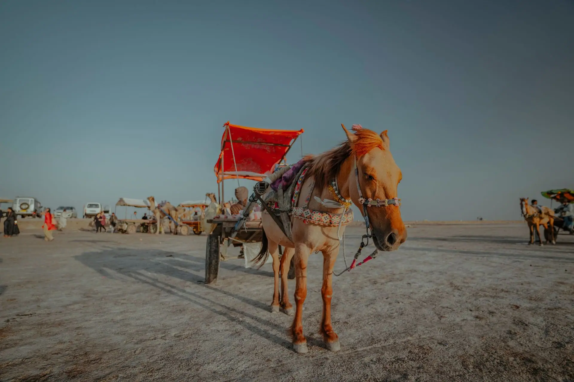 A vibrant horse cart standing amidst the vast Rann of Kutch desert, showcasing Indian culture