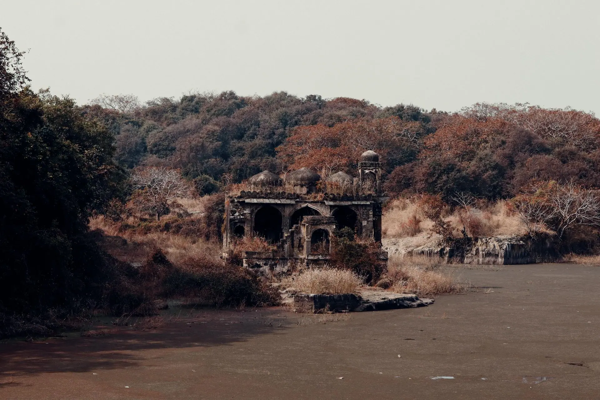 Abandoned stone temple in lush forest landscape at Ranthambore Park