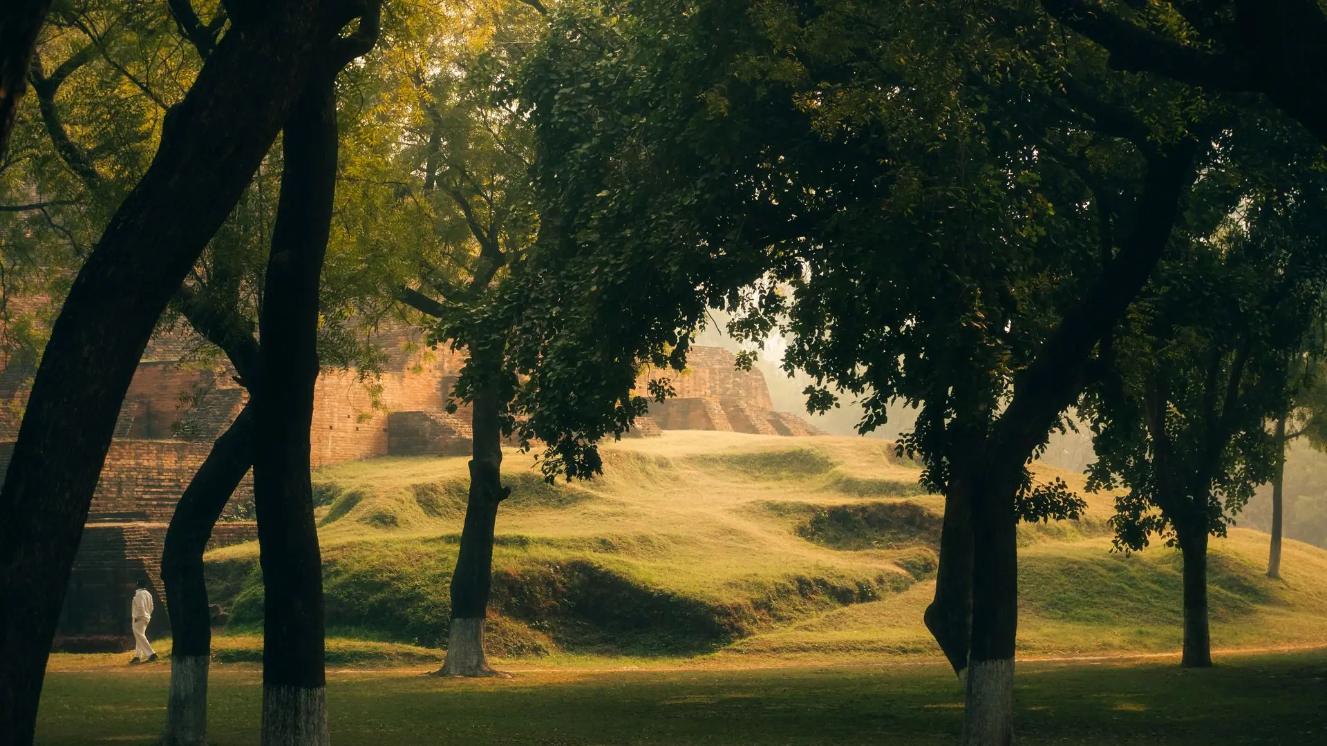 Gentle morning light over Chaukhandi Stupa in Varanasi, India, framed by lush trees