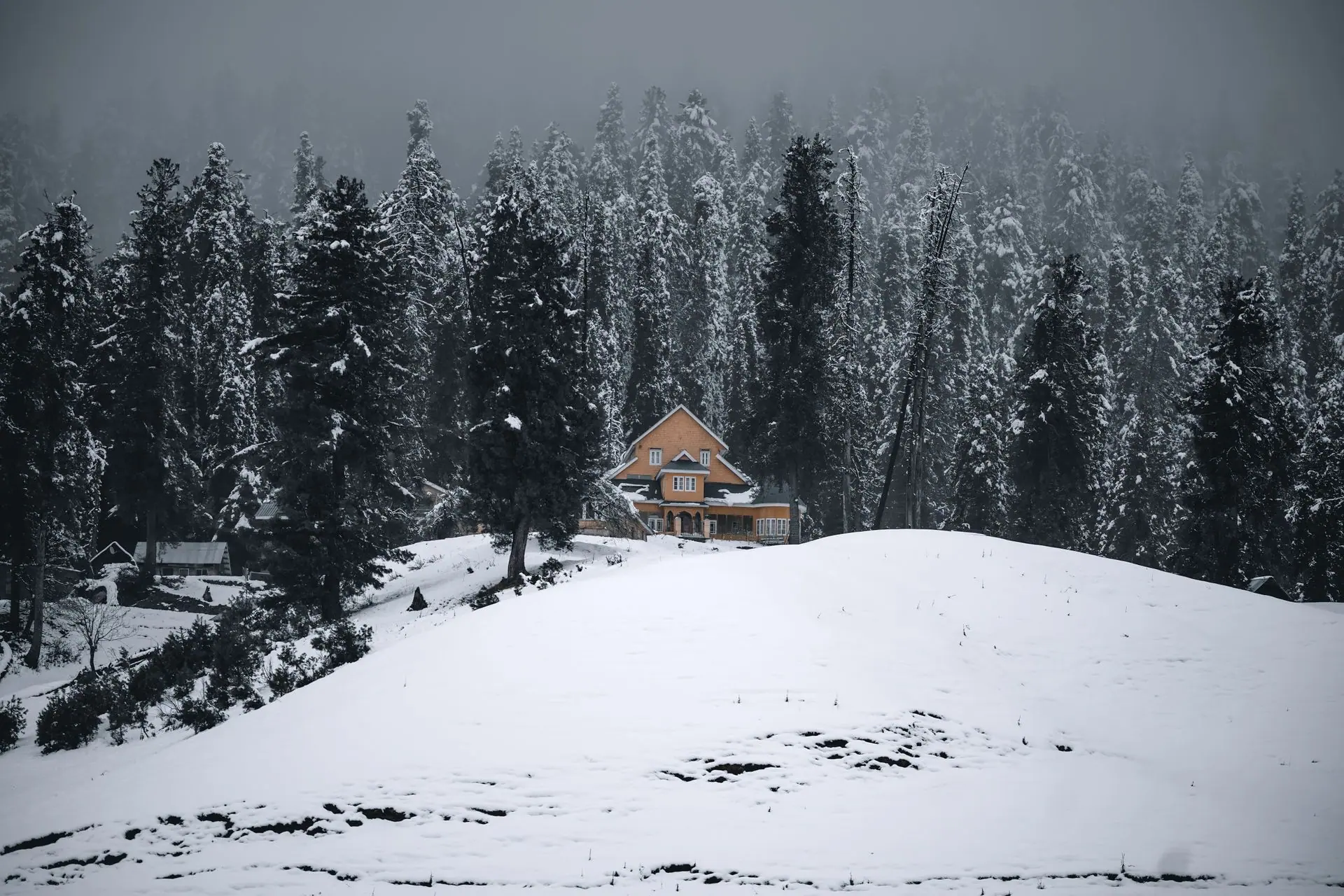 Serene winter scene of a cabin surrounded by snow-covered forest in Gulmarg