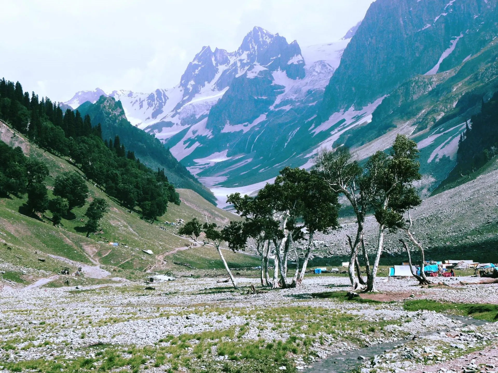 Beautiful view of mountains, trees, and camp in Sonamarg, Kashmir