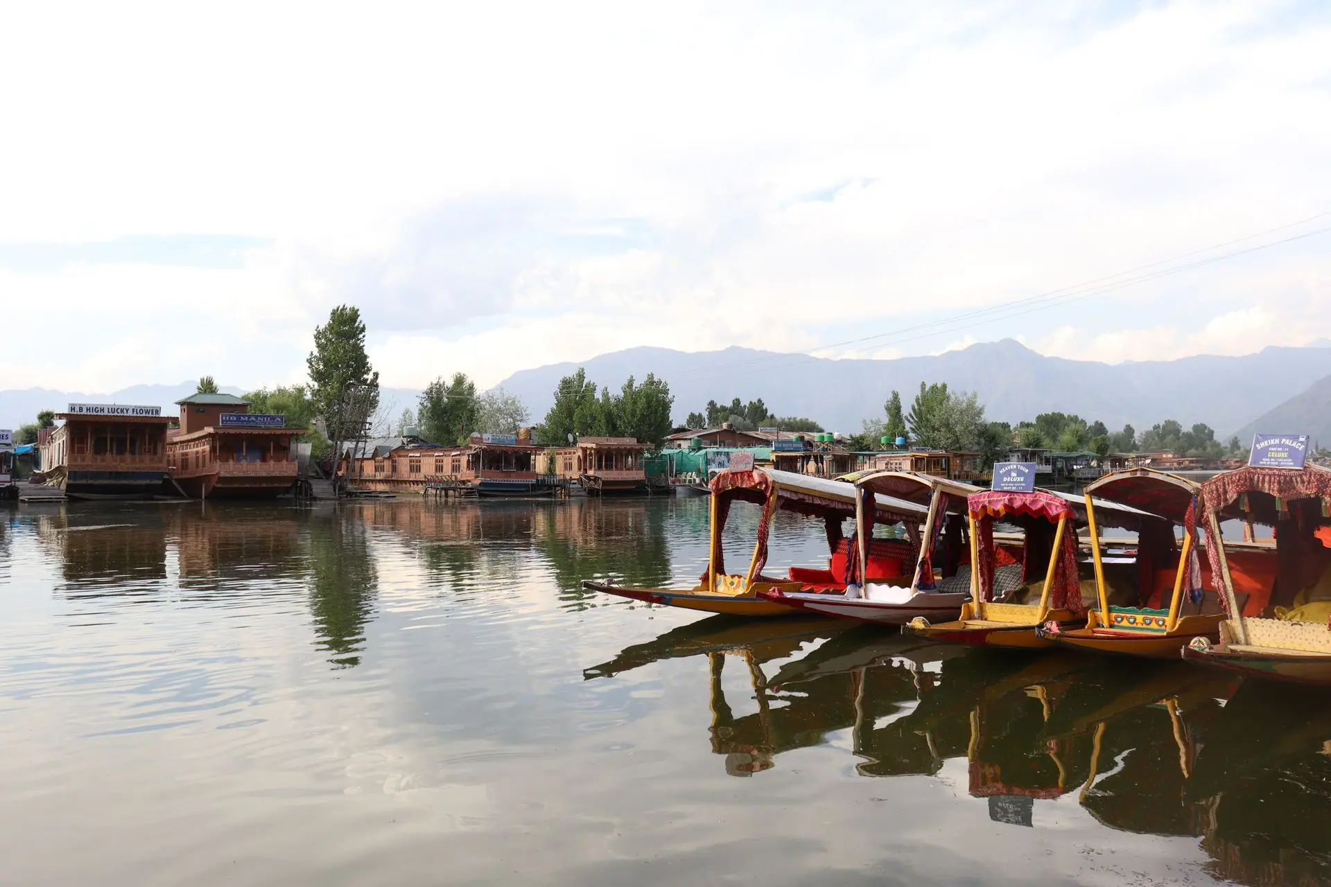 Colorful shikaras resting on the serene waters of Dal Lake, Srinagar with mountains in the backdrop