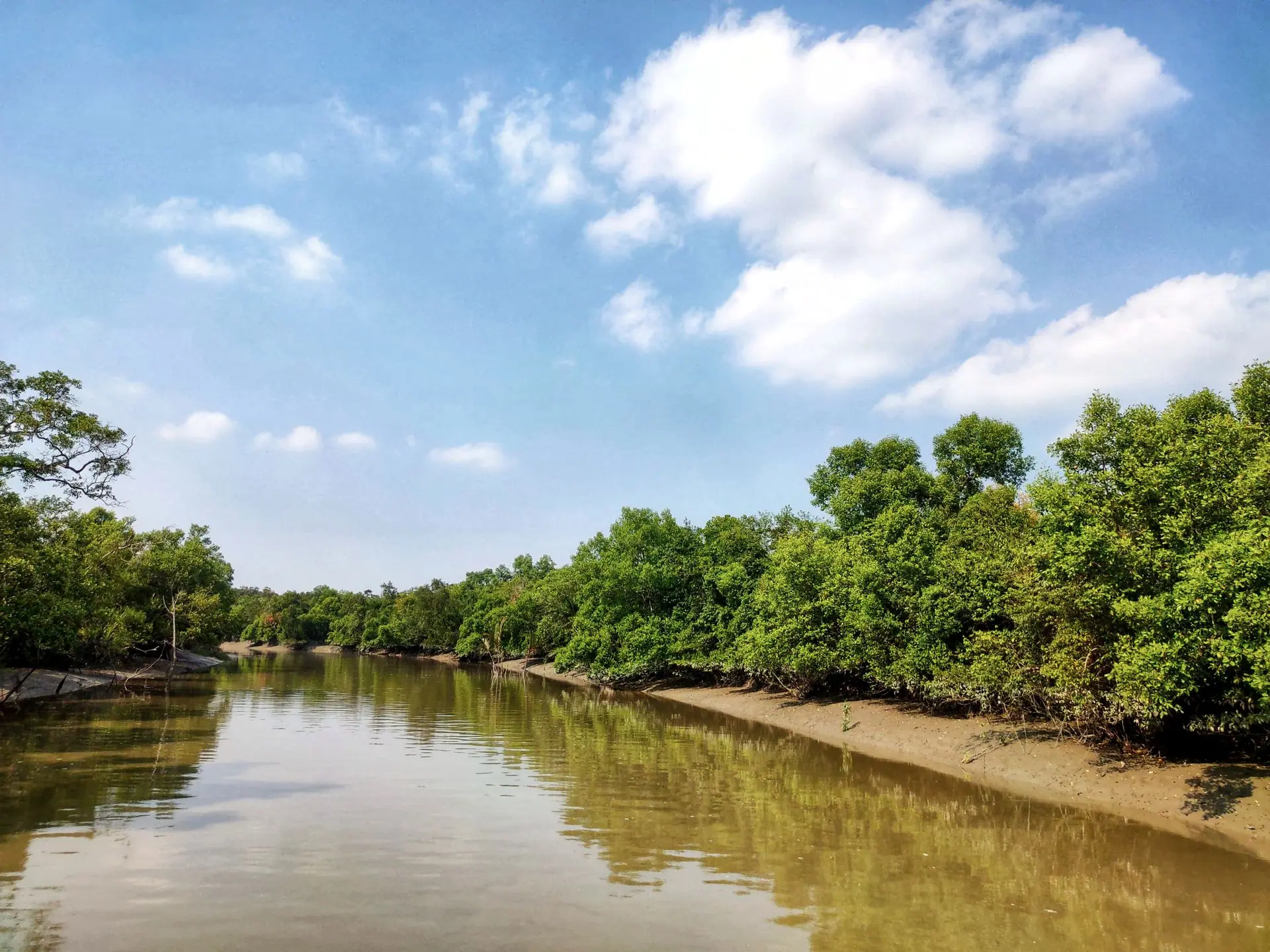 Explore the lush green mangrove forests of the Sundarbans in Khulna, capturing serene waterways and vibrant nature