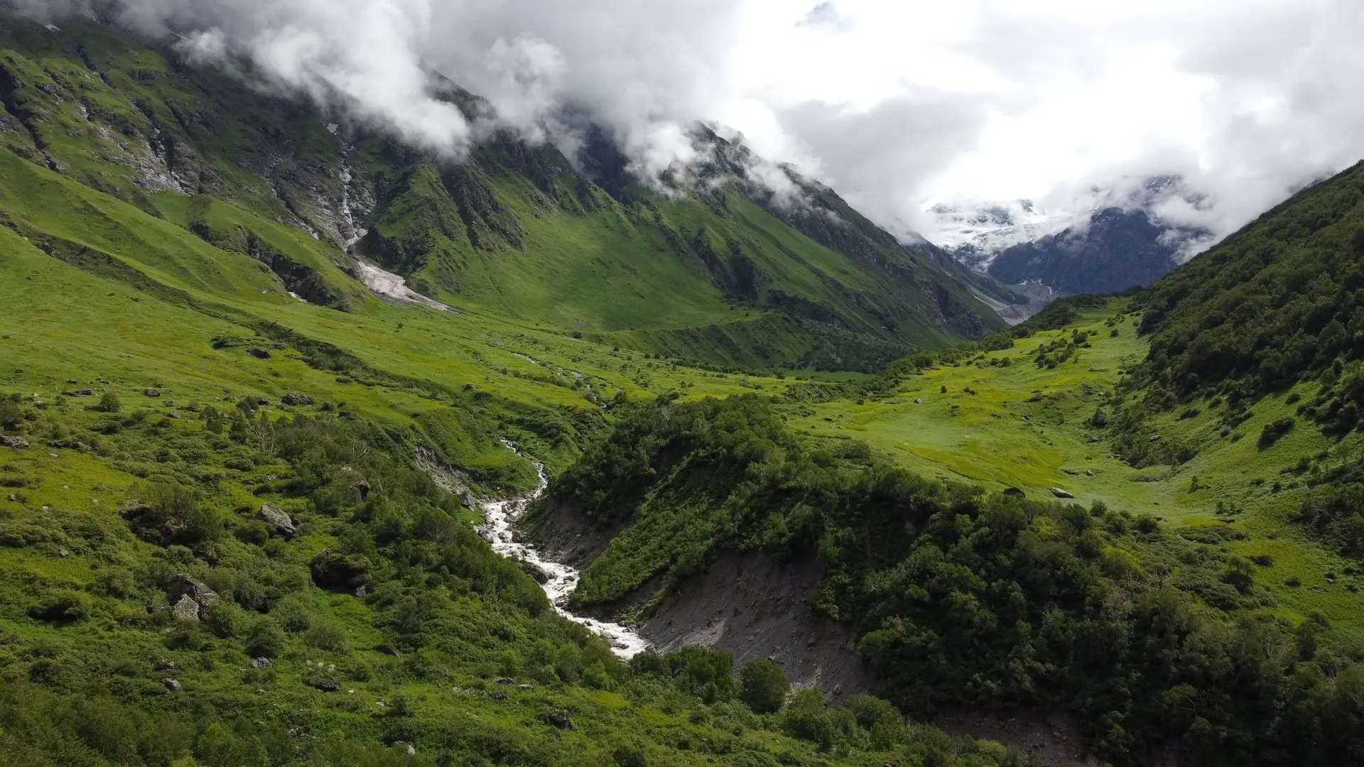 Lush green valley of Ghangaria, India with majestic mountains and clouds