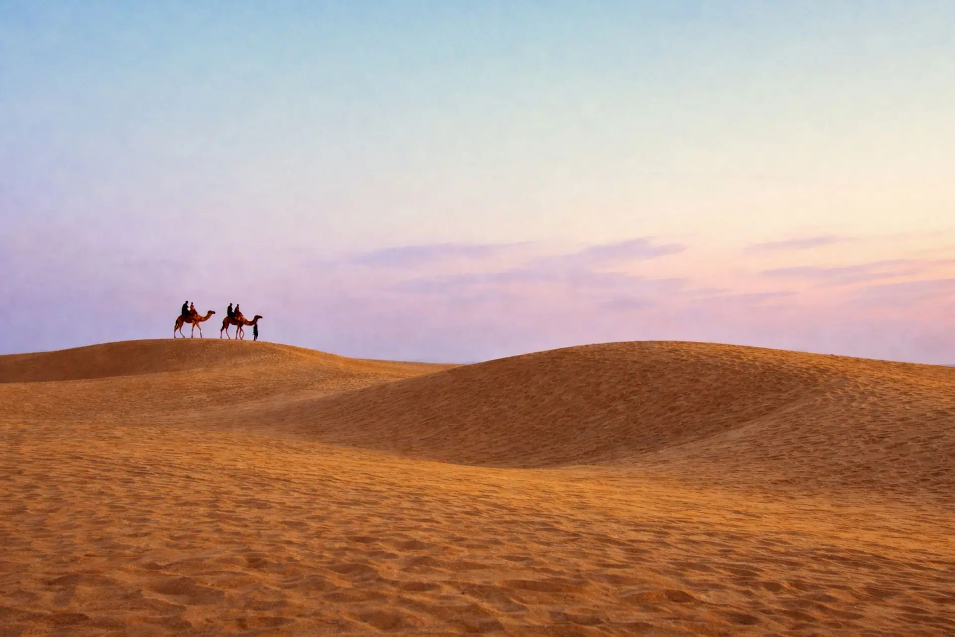 Two camels and riders on sand dunes in Jaisalmer desert at sunset