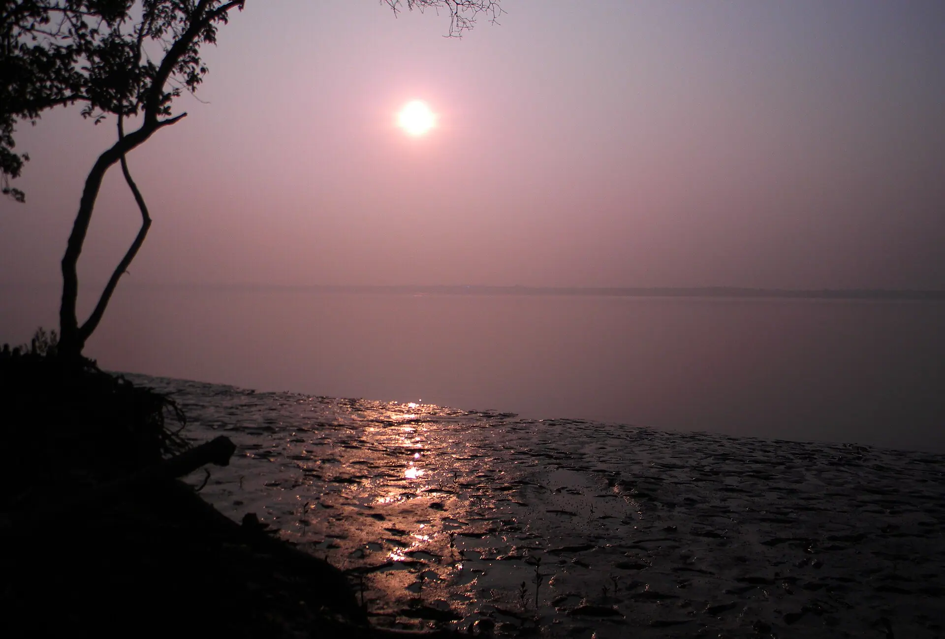 Bay of Sundarbans
