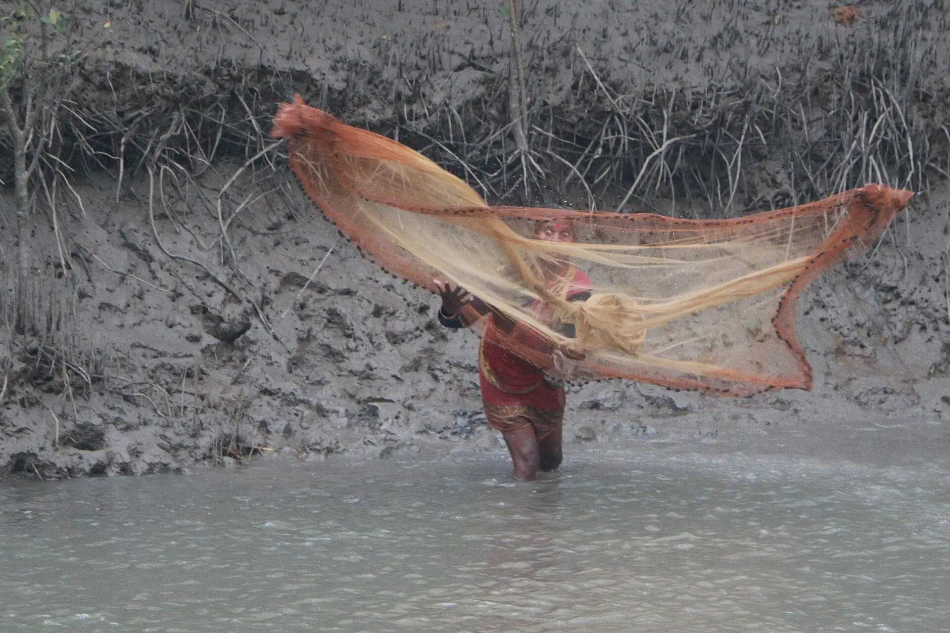 Lonely fisher woman in Sunderbans
