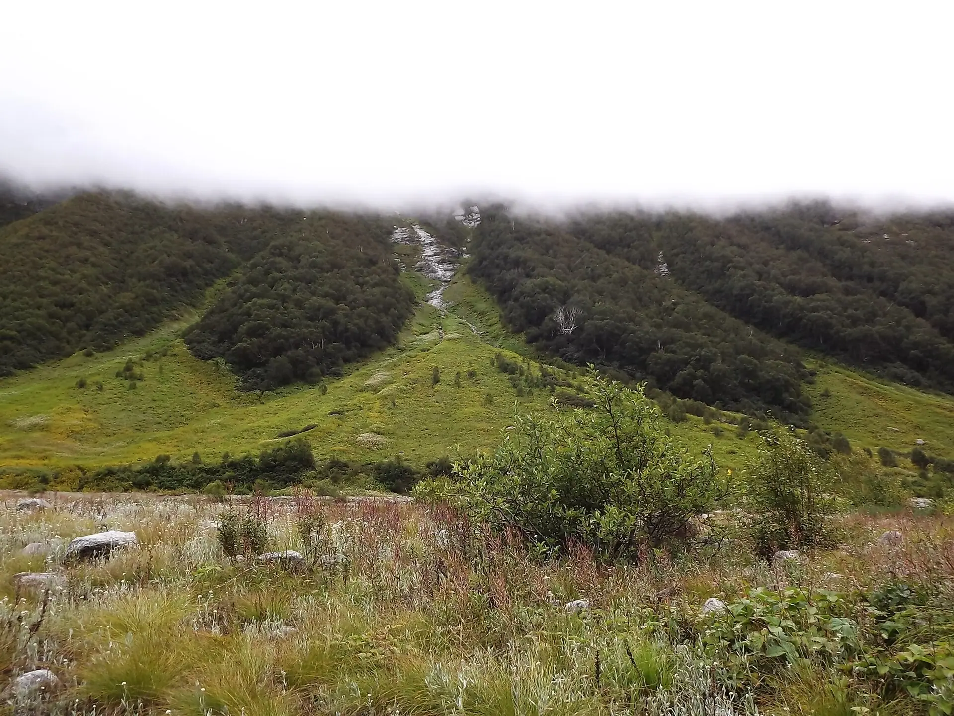 valley of flowers